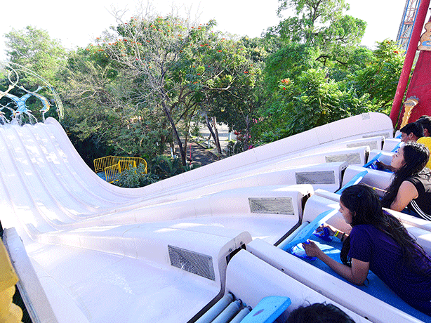 Water Kingdom - starting point of the WHAT A COASTER water slide at our water park