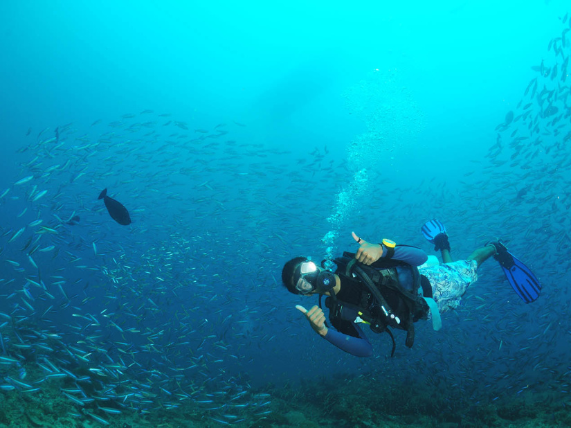 Scuba Diving in Andaman and Nicobar Islands