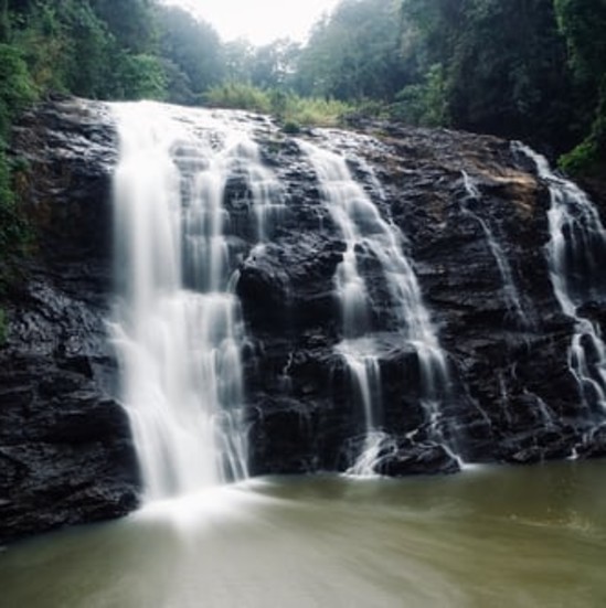 alt-text A waterfall flowing in a dense forest.