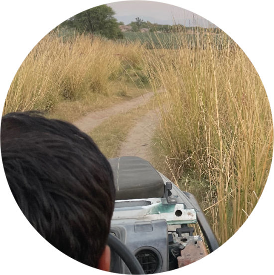 Adventure drive offered as part of experiences at Brij Pola, Jawai