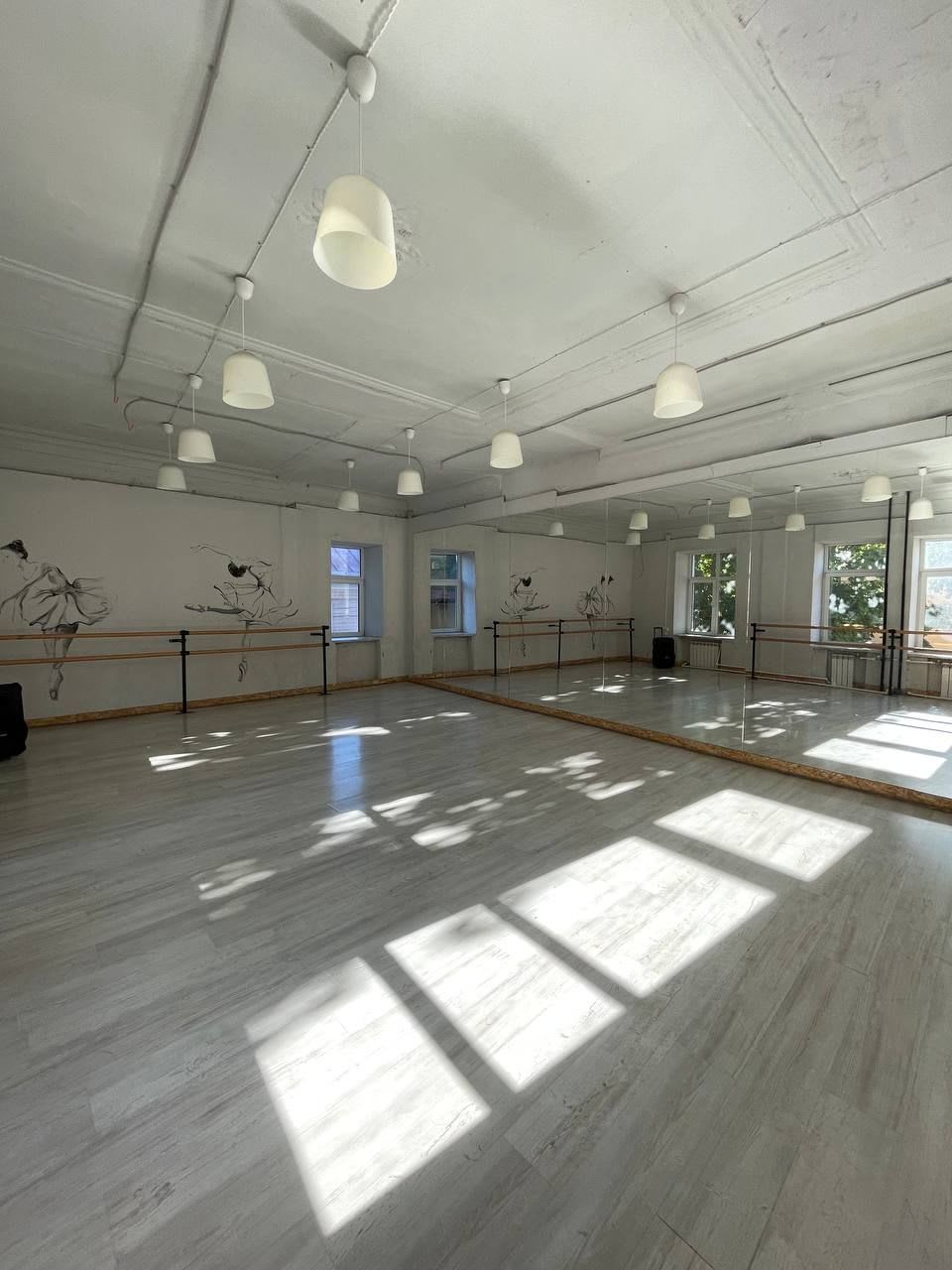 interior-Студия-балета,-растяжки,-танцев.-Студия-Екатерины-Муратовой-in-lakki-crm