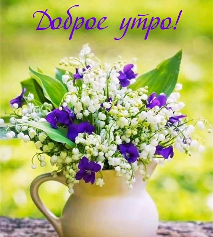 pro-Светлана-in-lakki-crm