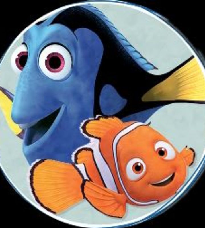 company-Акваклуб-Немо-in-lakki-crm