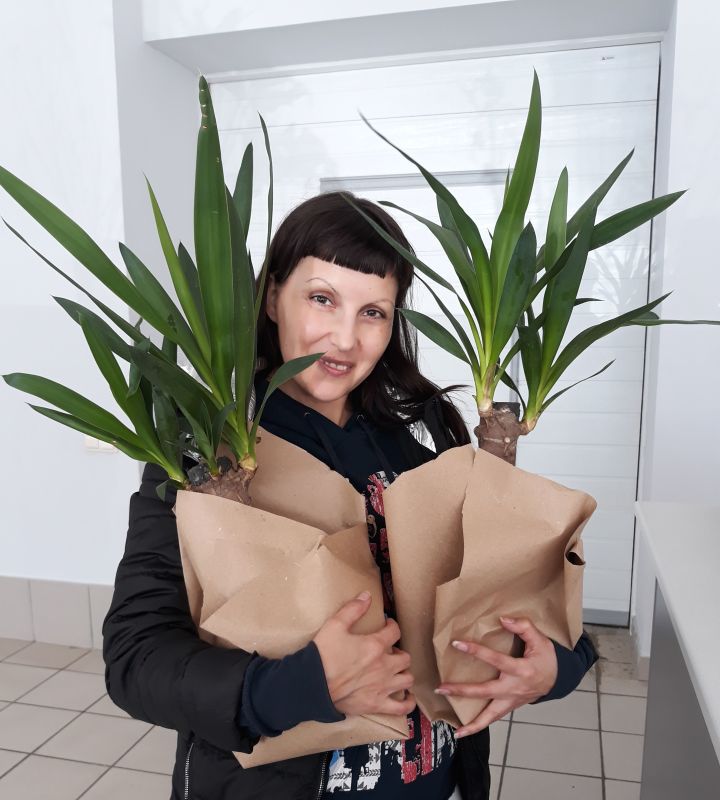 pro-Юкка-in-lakki-crm