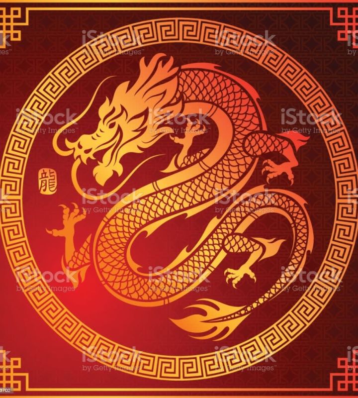 company-Оздоровительный-центр-Восьмой-дракон-in-lakki-crm