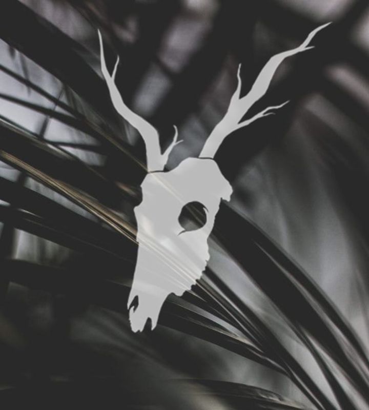 pro-Euglen-in-lakki-crm