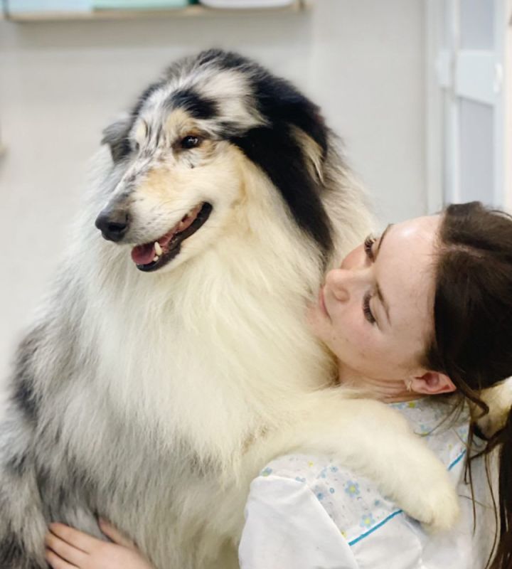 pro-Анастасия-Димитриева-in-lakki-crm