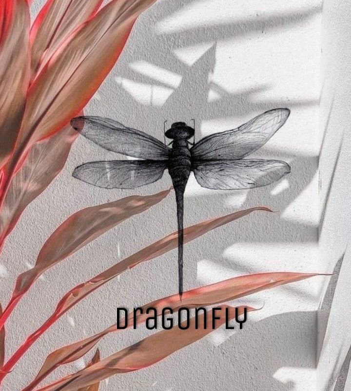 company-Салон-Стрекоза--in-lakki-crm