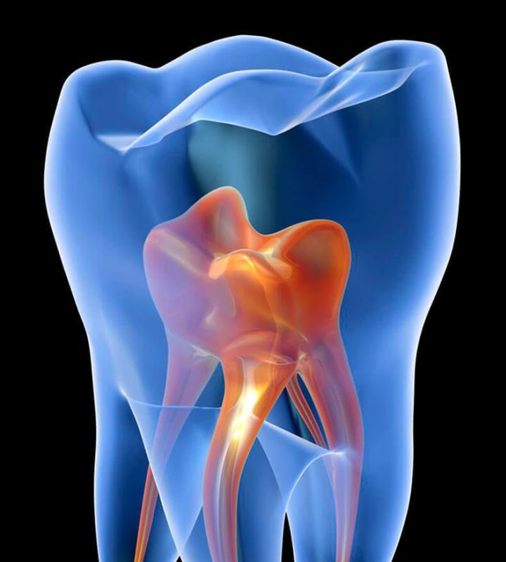 company-Стоматология-Алексика-in-lakki-crm