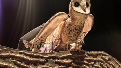 RutaCalaveras/g5xpmvjakyn2cpy7efkr