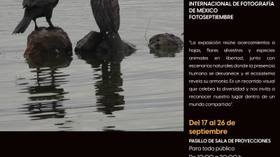 RutaCalaveras/jwqrebgc3fenrri5moog