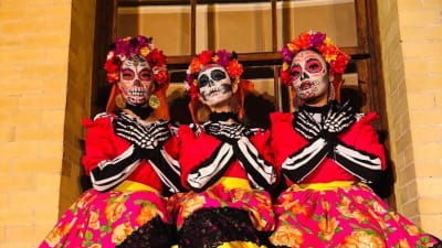 RutaCalaveras/lqvbdihbp6lr4s7v3bnj