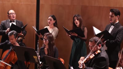 RutaCalaveras/nbeqmmcaa2erpylgw6nw