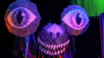 RutaCalaveras/psyfgb2snkfgnyo9efqc