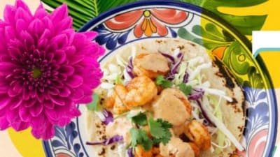 RutaCalaveras/rldvrjjqy5gln5celyaa