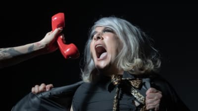 RutaCalaveras/vy6ijwoblhey7d5gmf9d