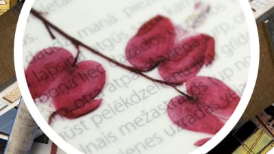 RutaCalaveras/z0ucpn1qxgf3ubnyhbp7