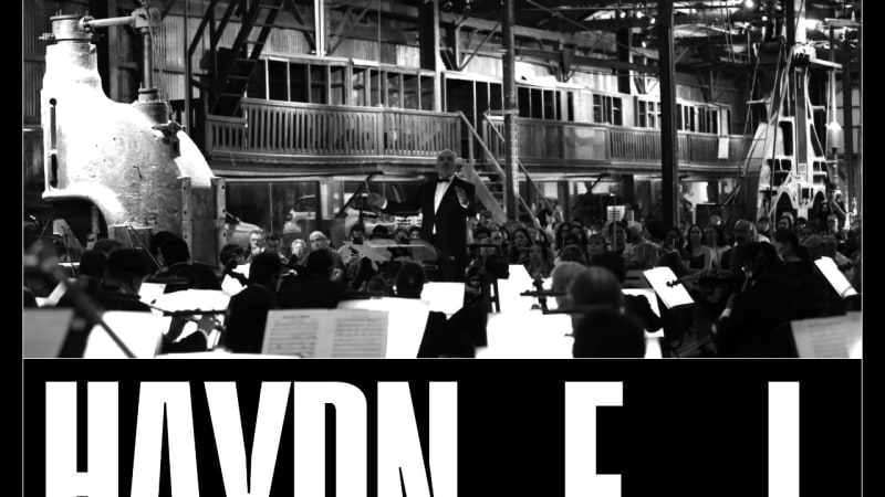 HAYDN, F. J.