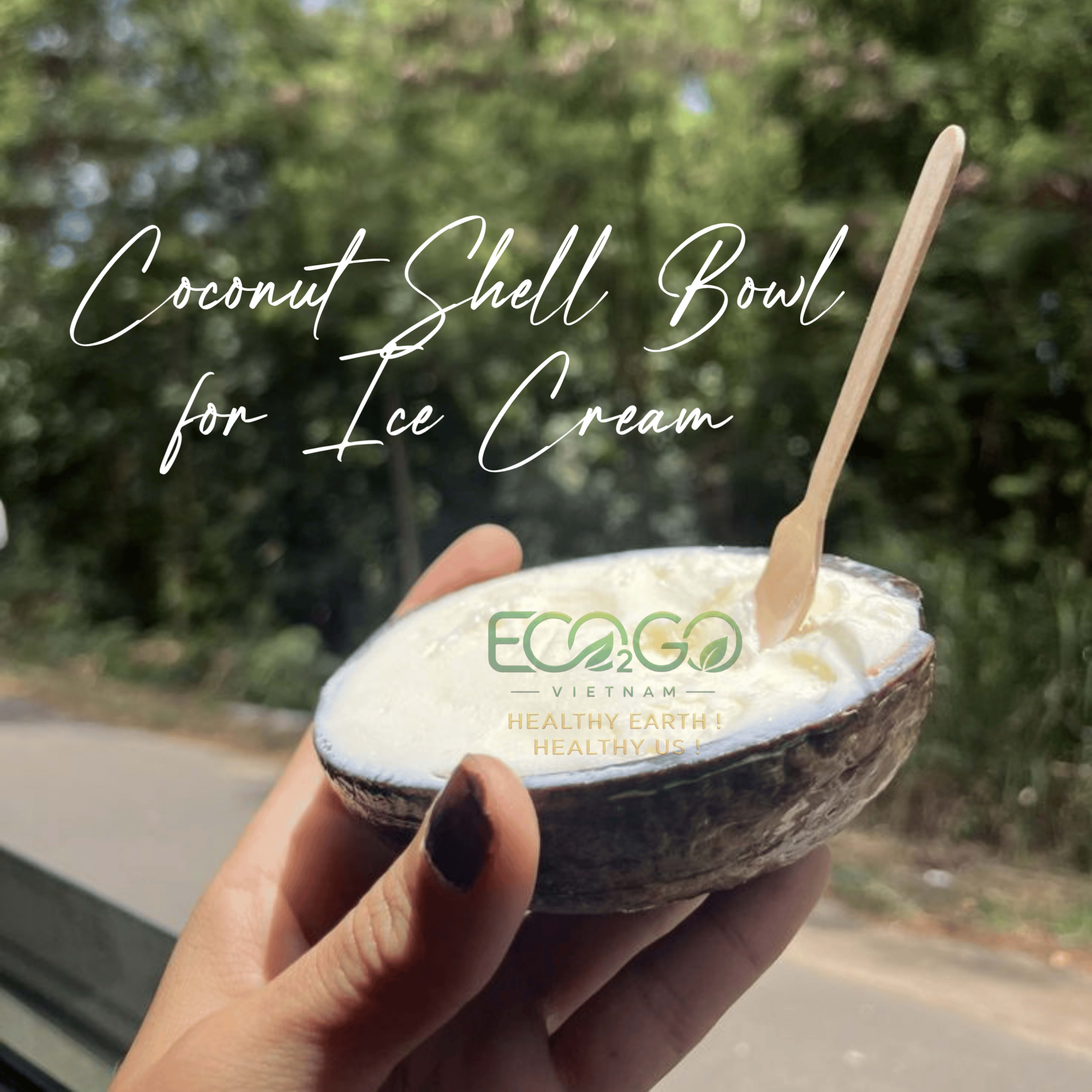 Coconut Shell Bowl for Ice Cream