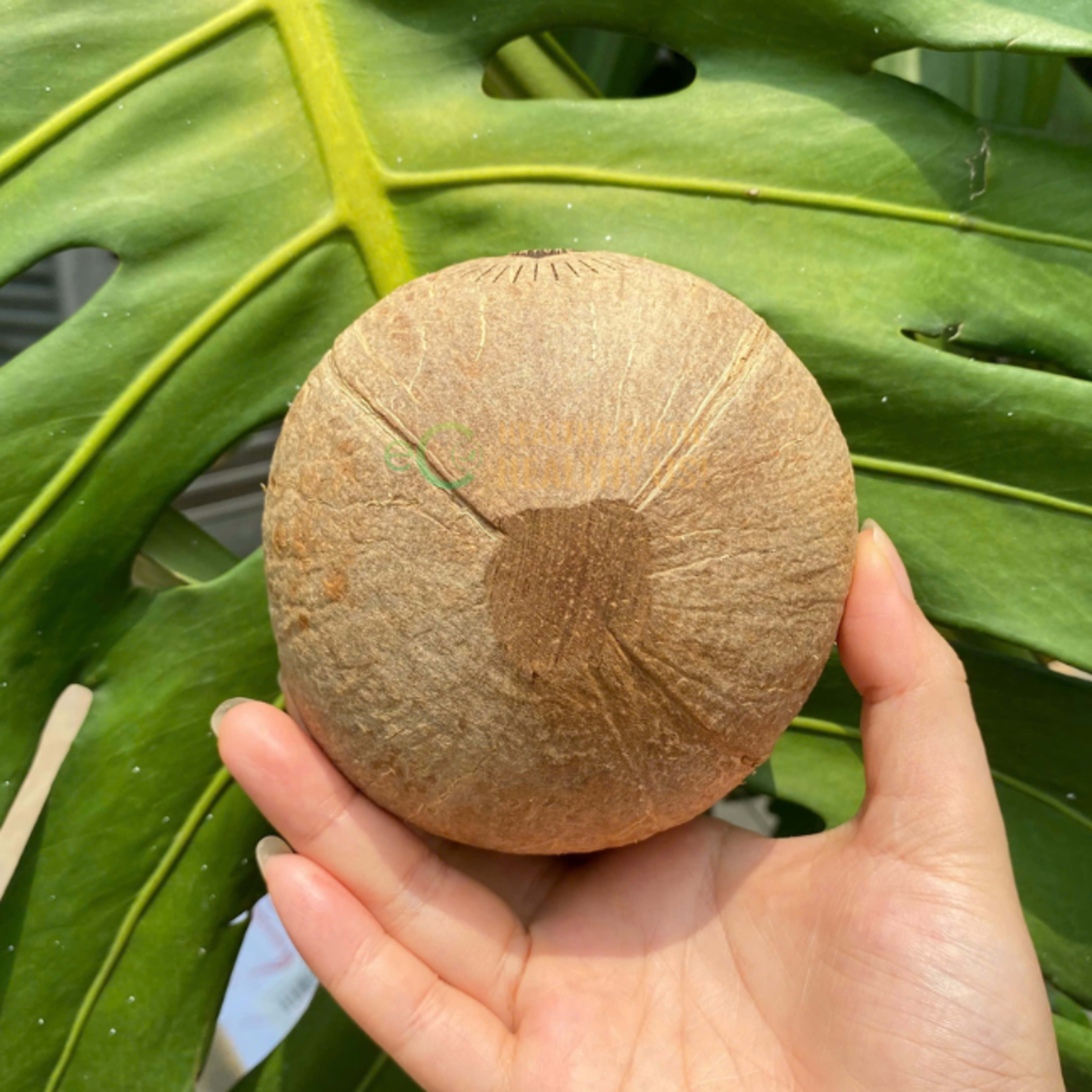 Raw cup without base