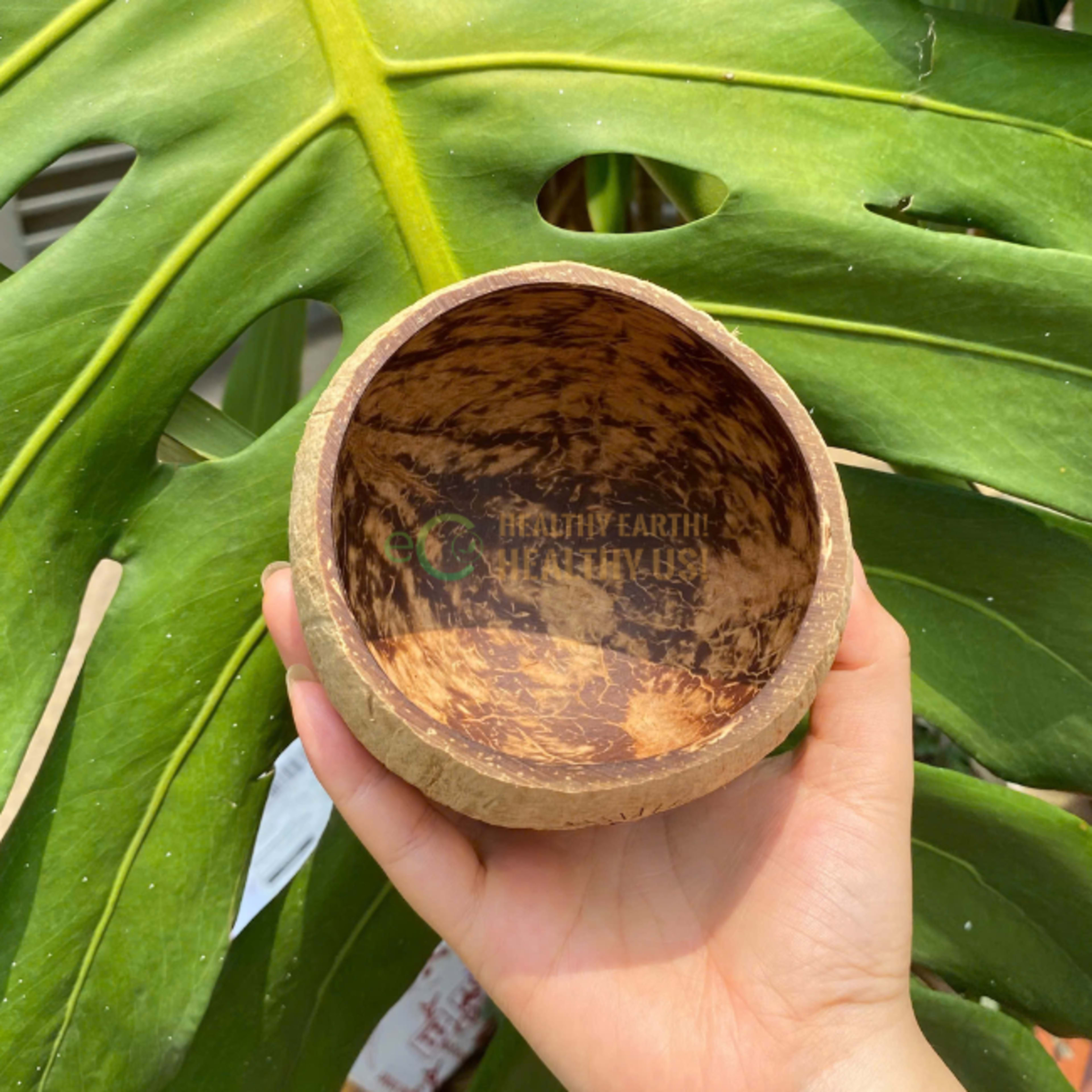 Raw cup without base