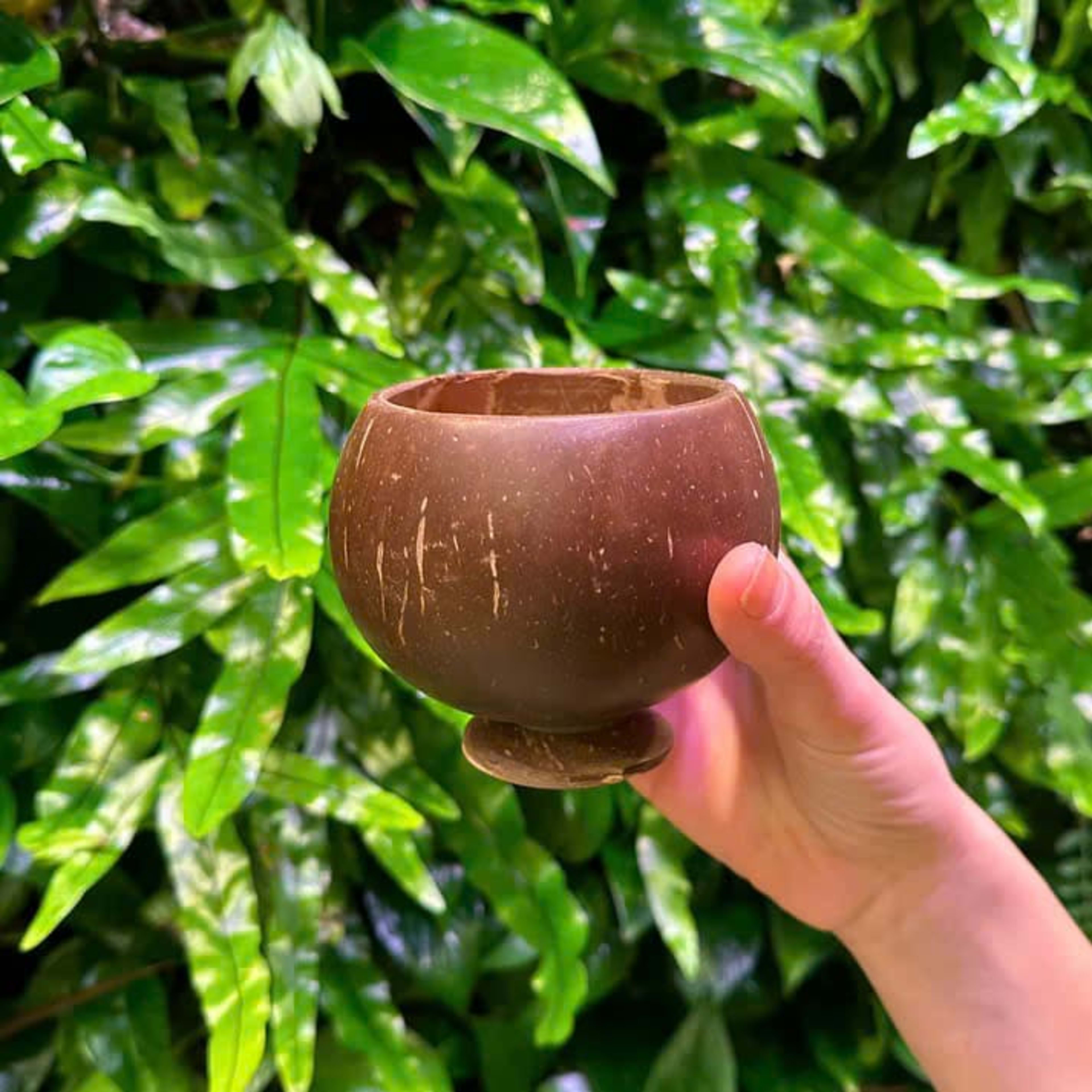 Polished cup with base