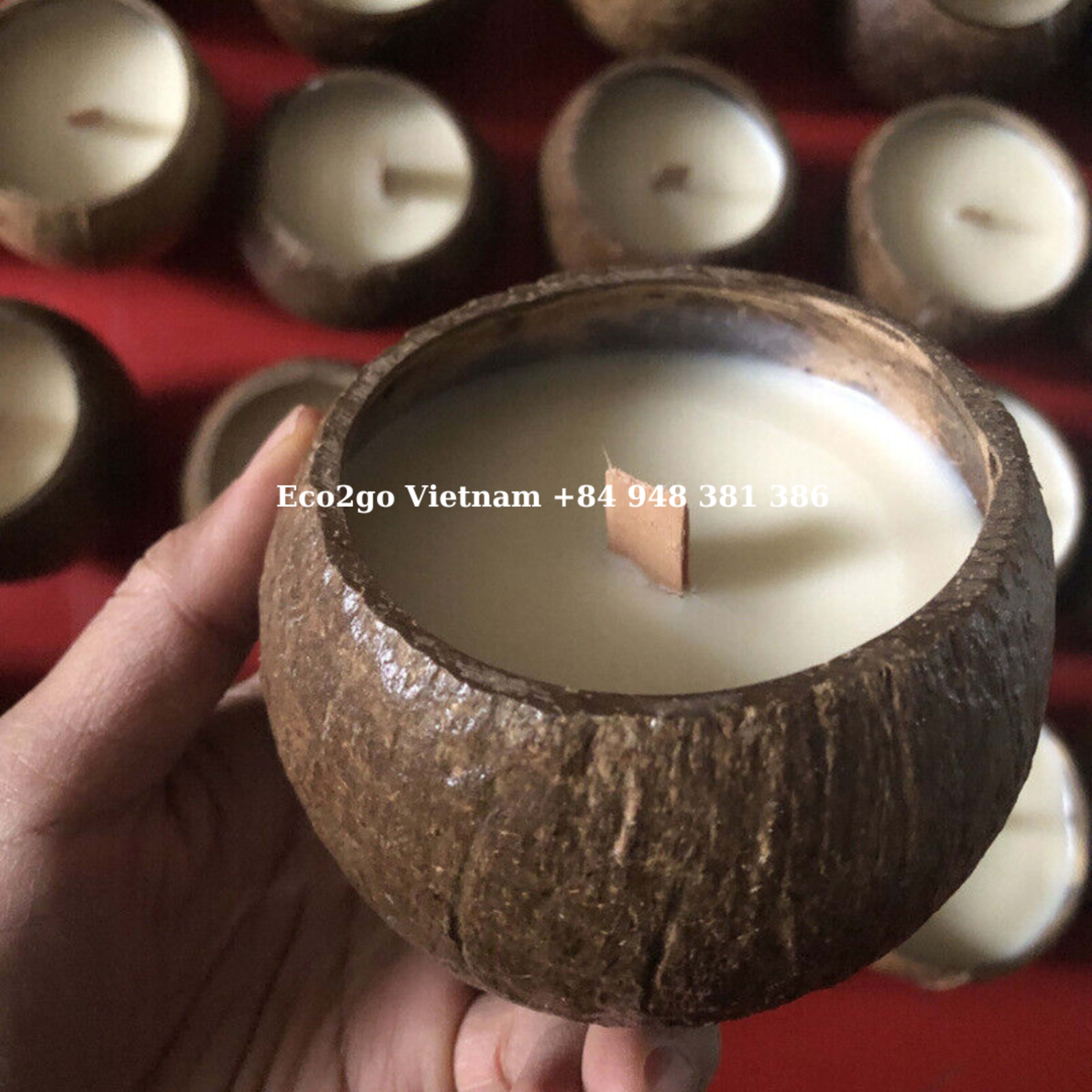 coco candle 17