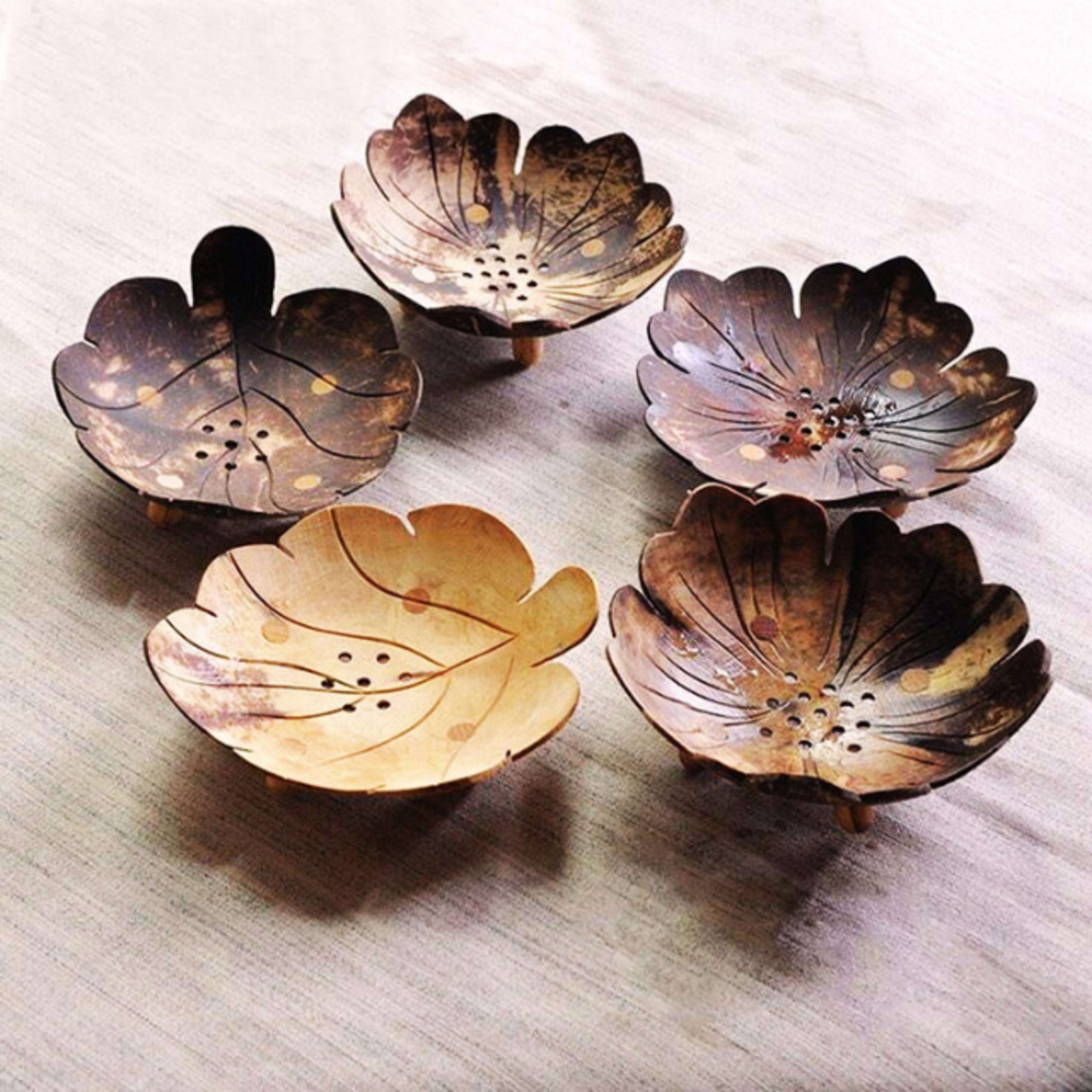 Soap Dishes 1
