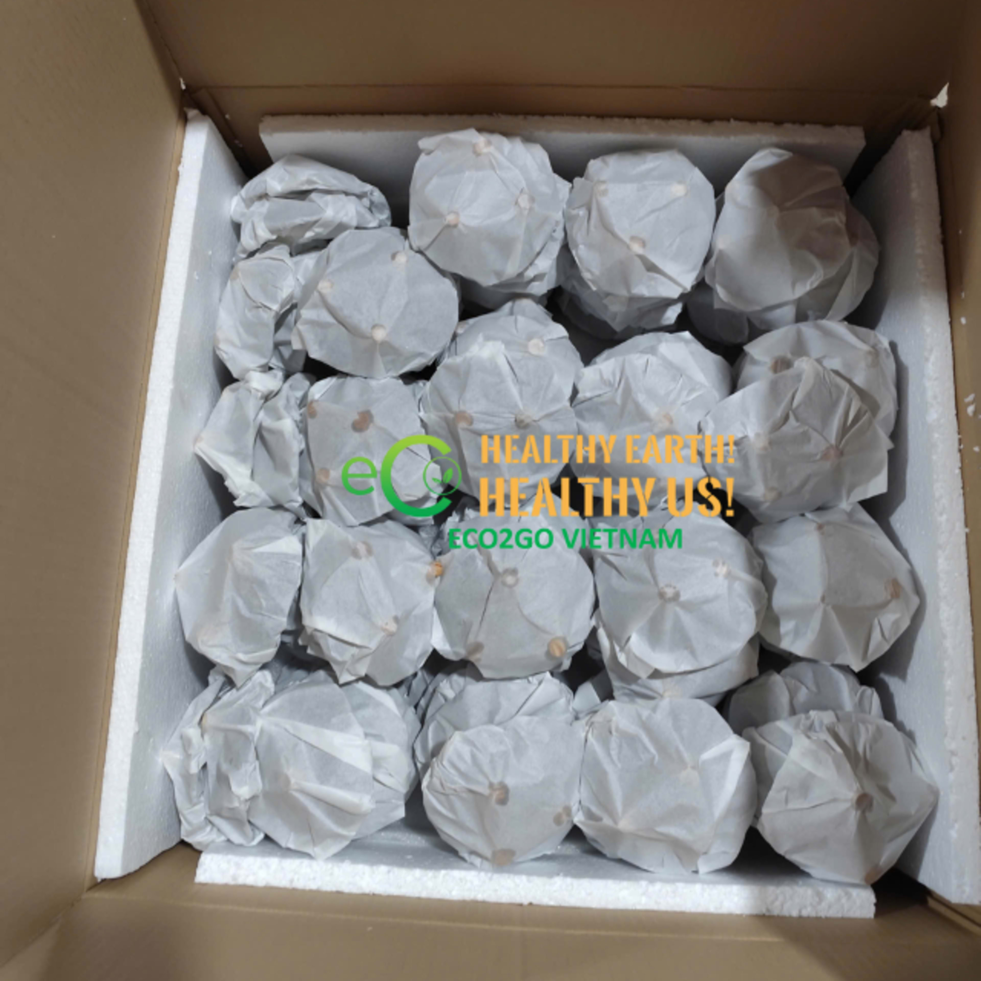 Carton Packing