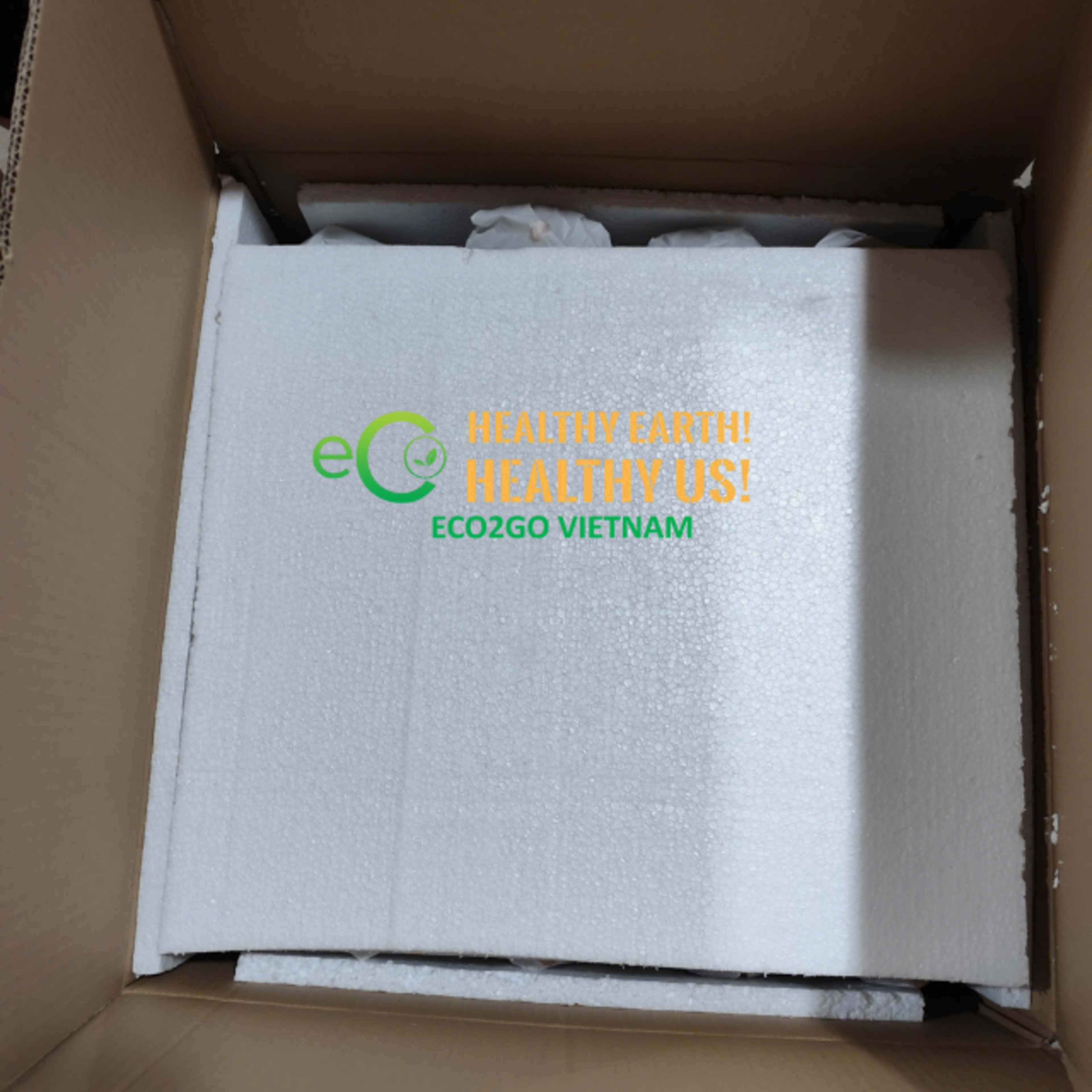 Carton Packing
