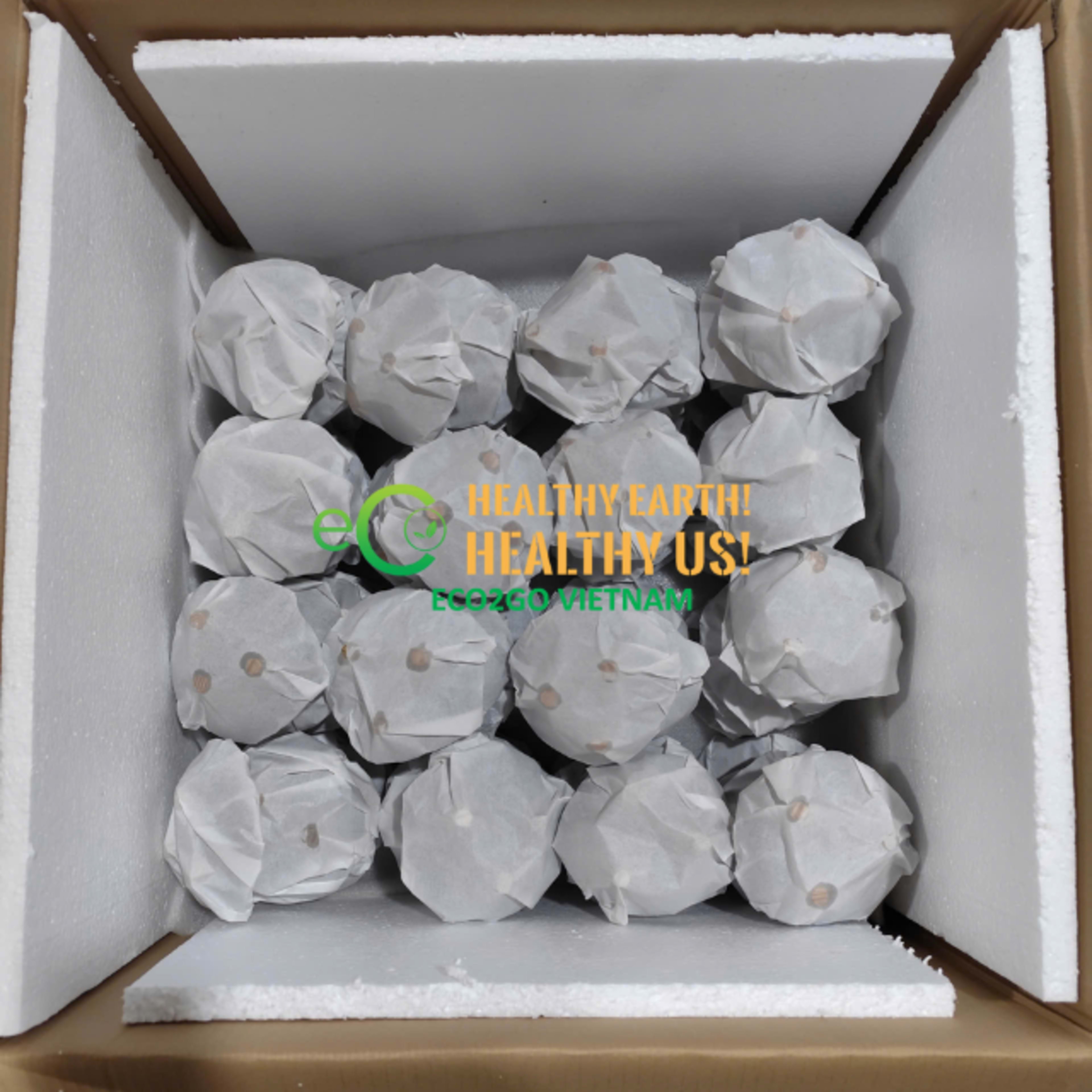 Carton Packing