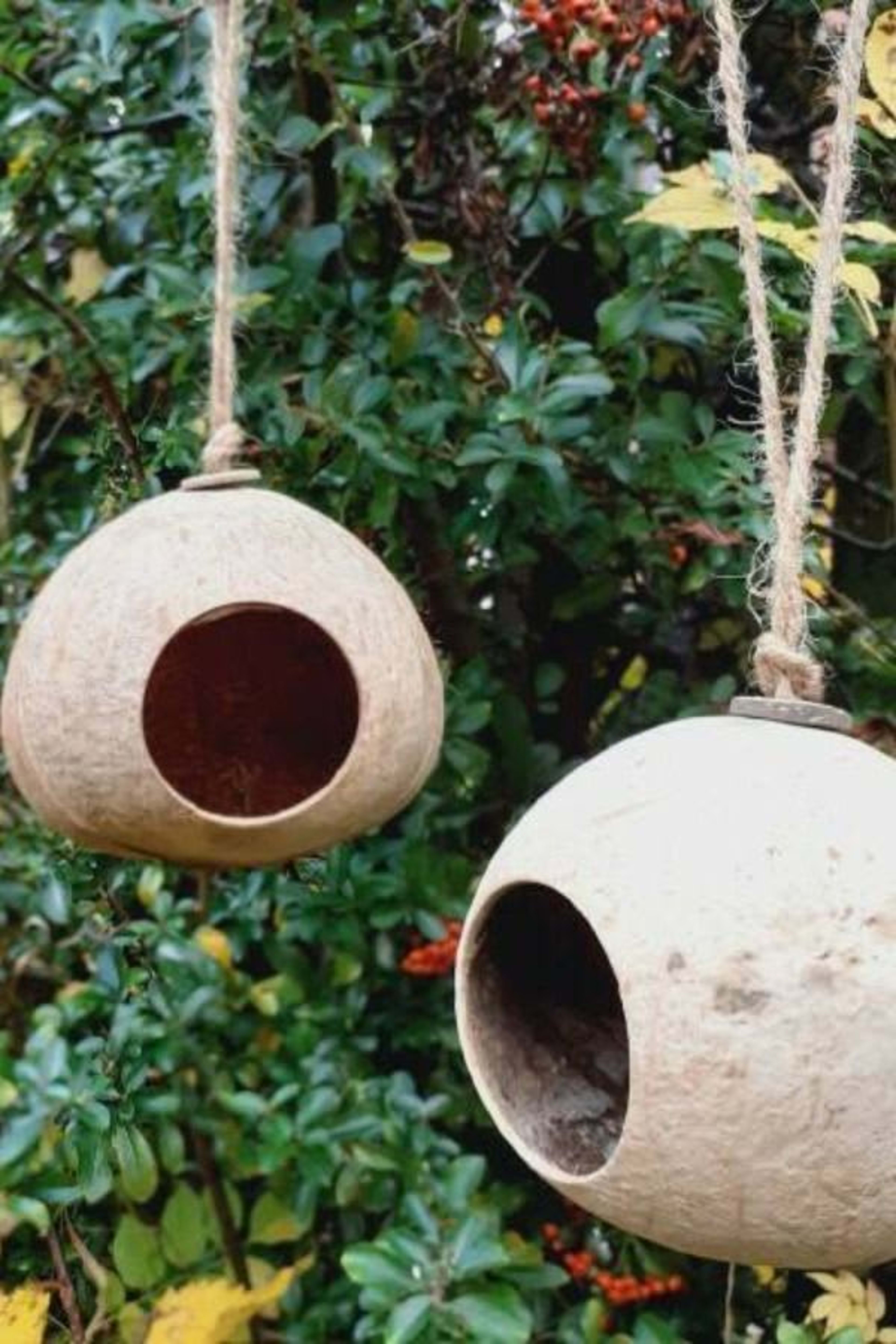 coco bird house 6