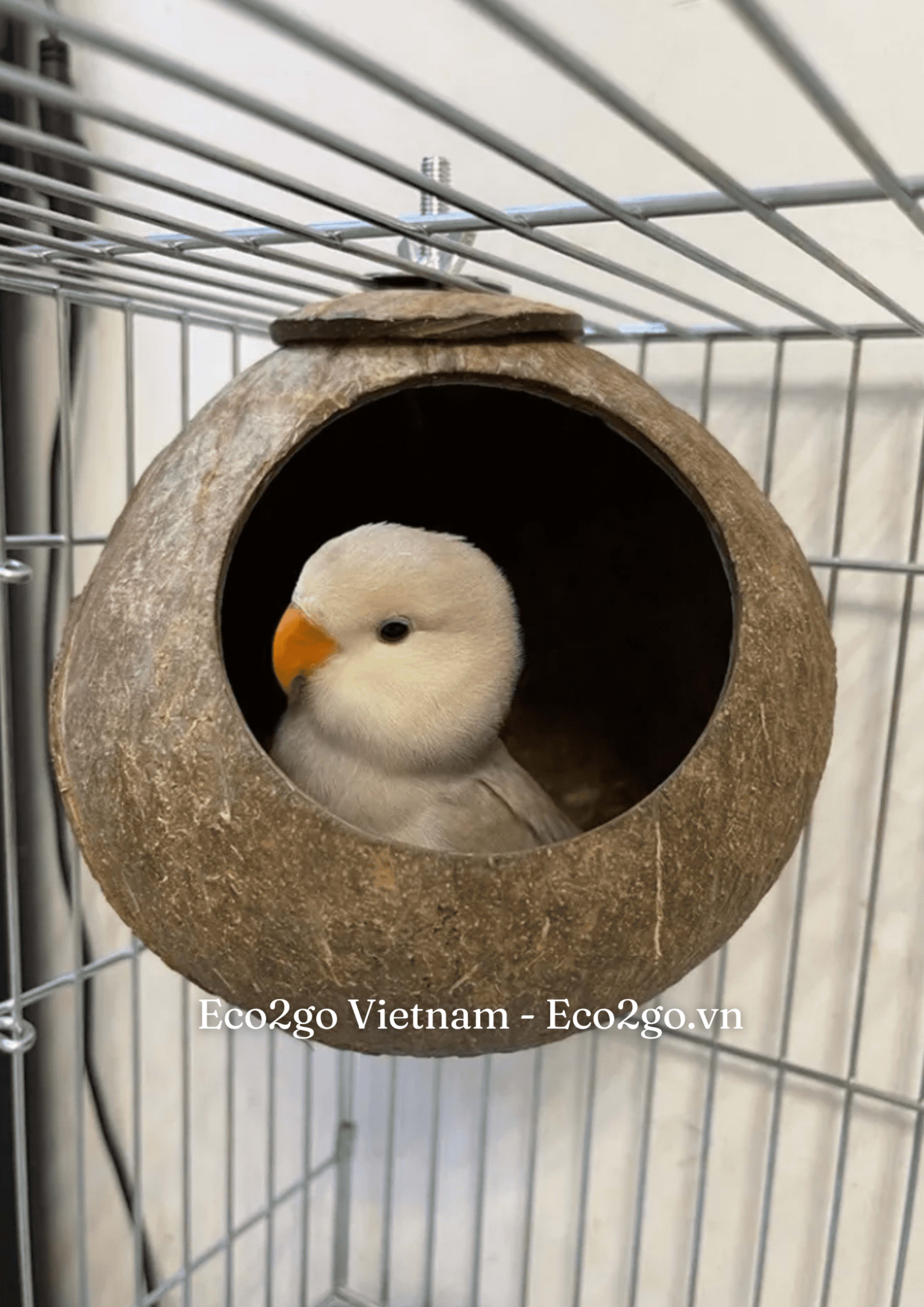 coco bird house 20