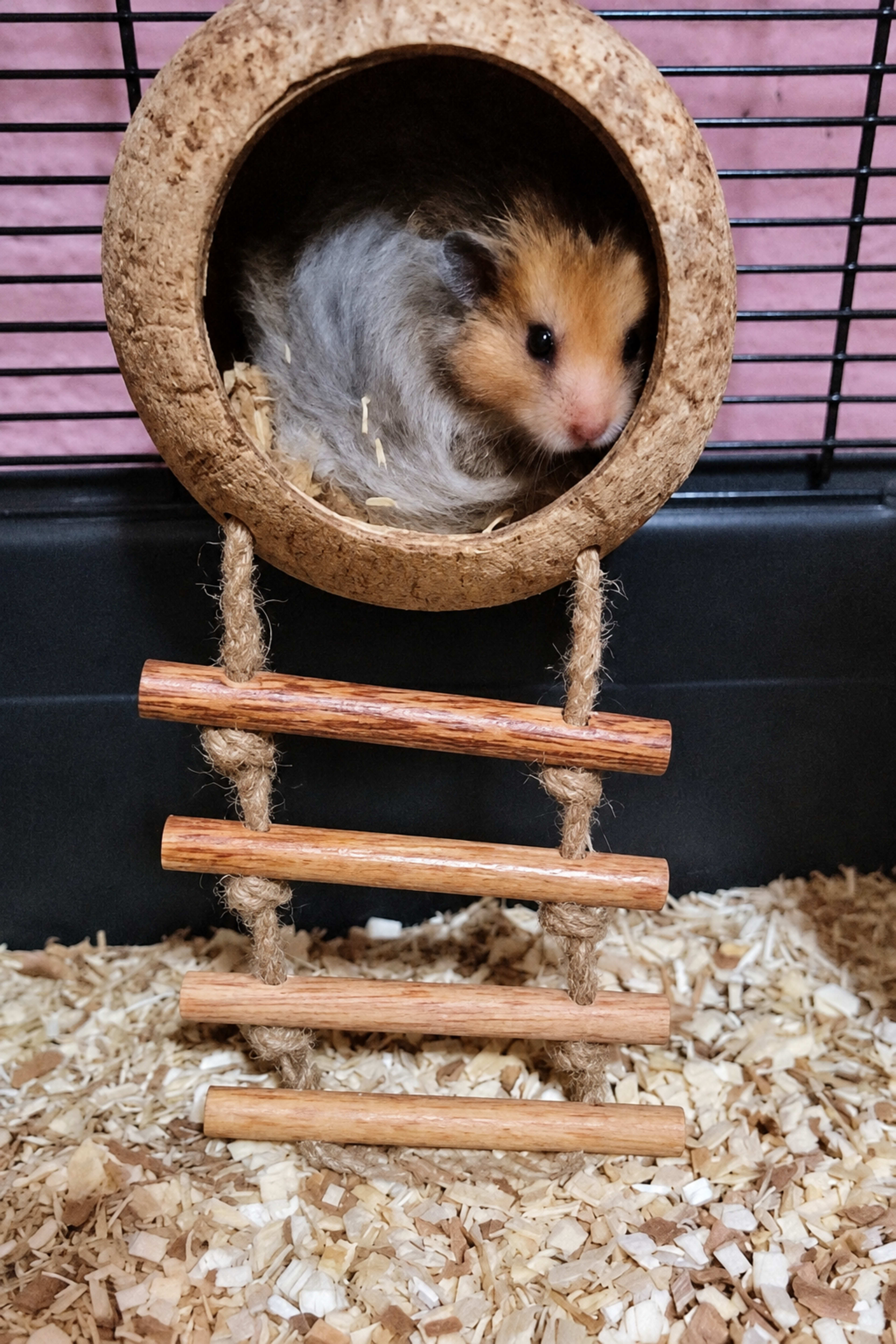 coco bird house 27