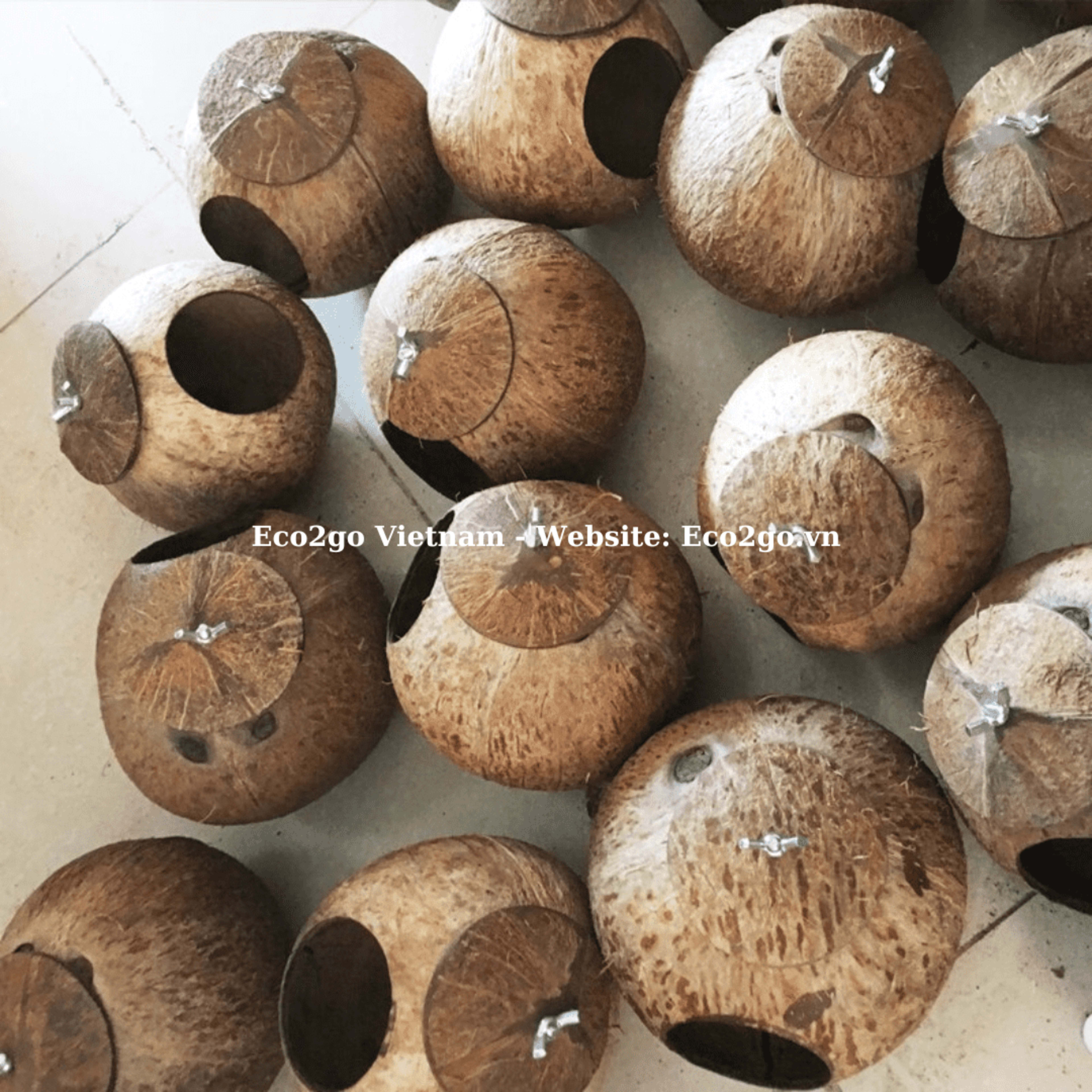 Bird Houses