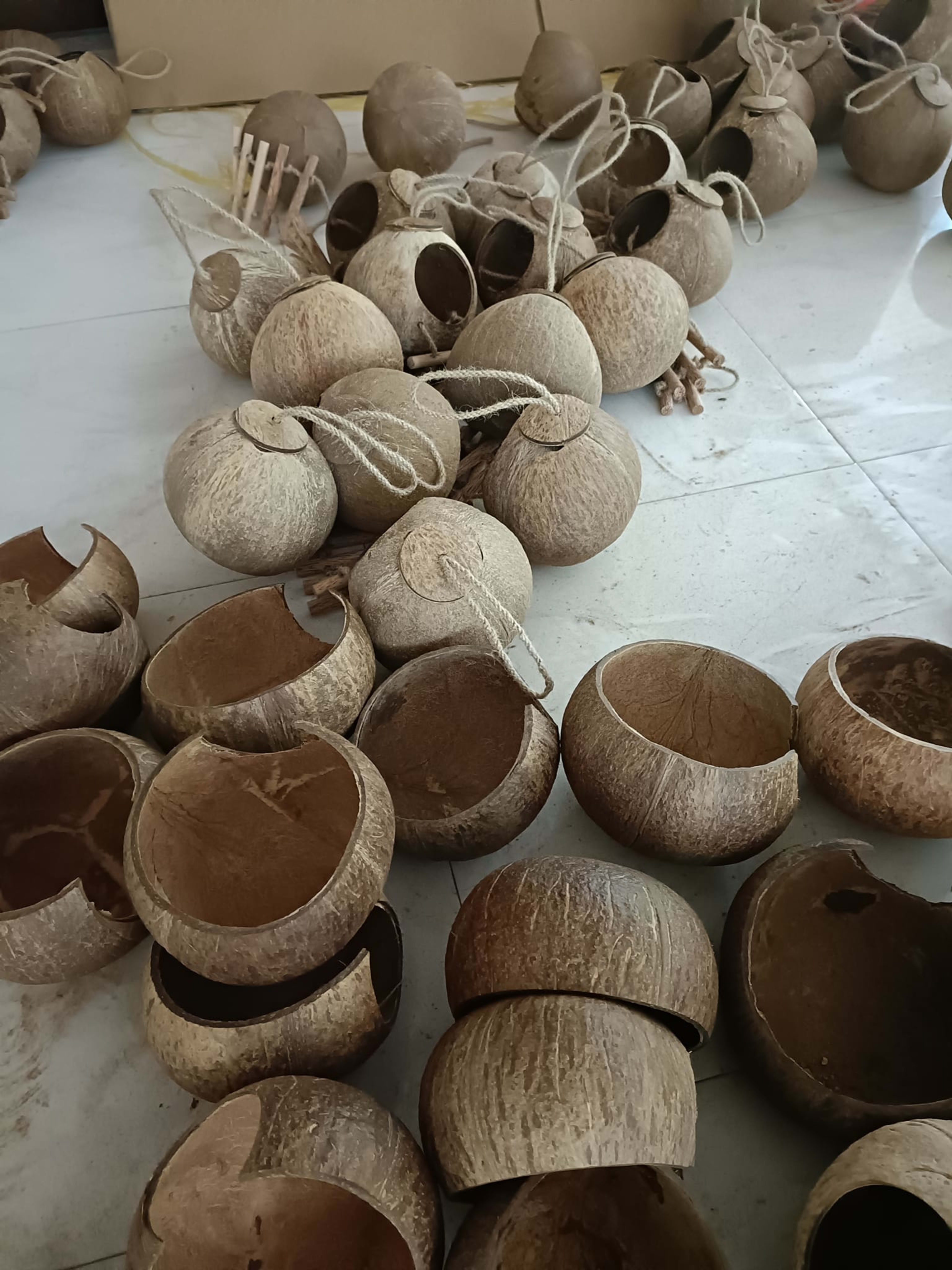 coco bird house 29