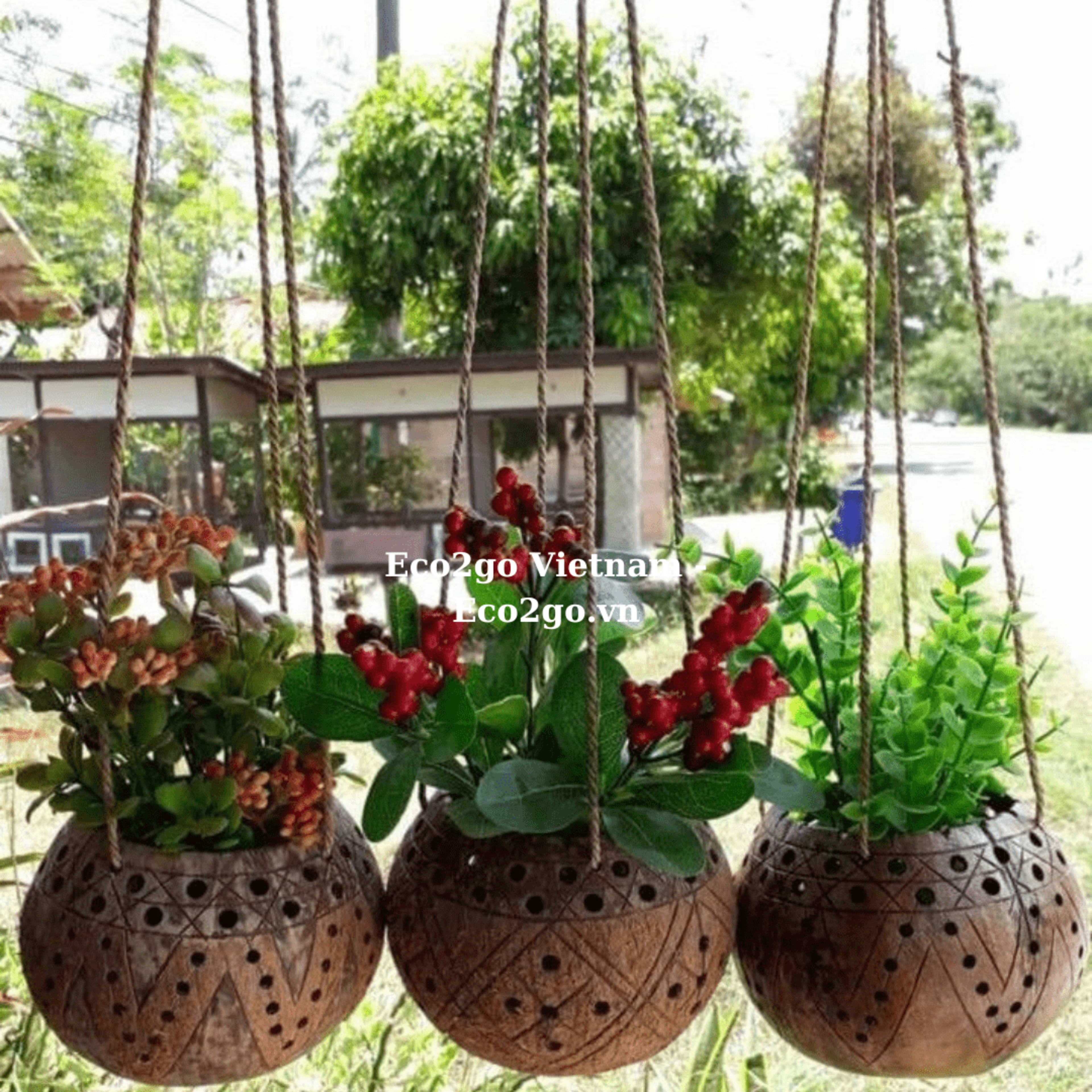 Coconut Shell Plant Pot
