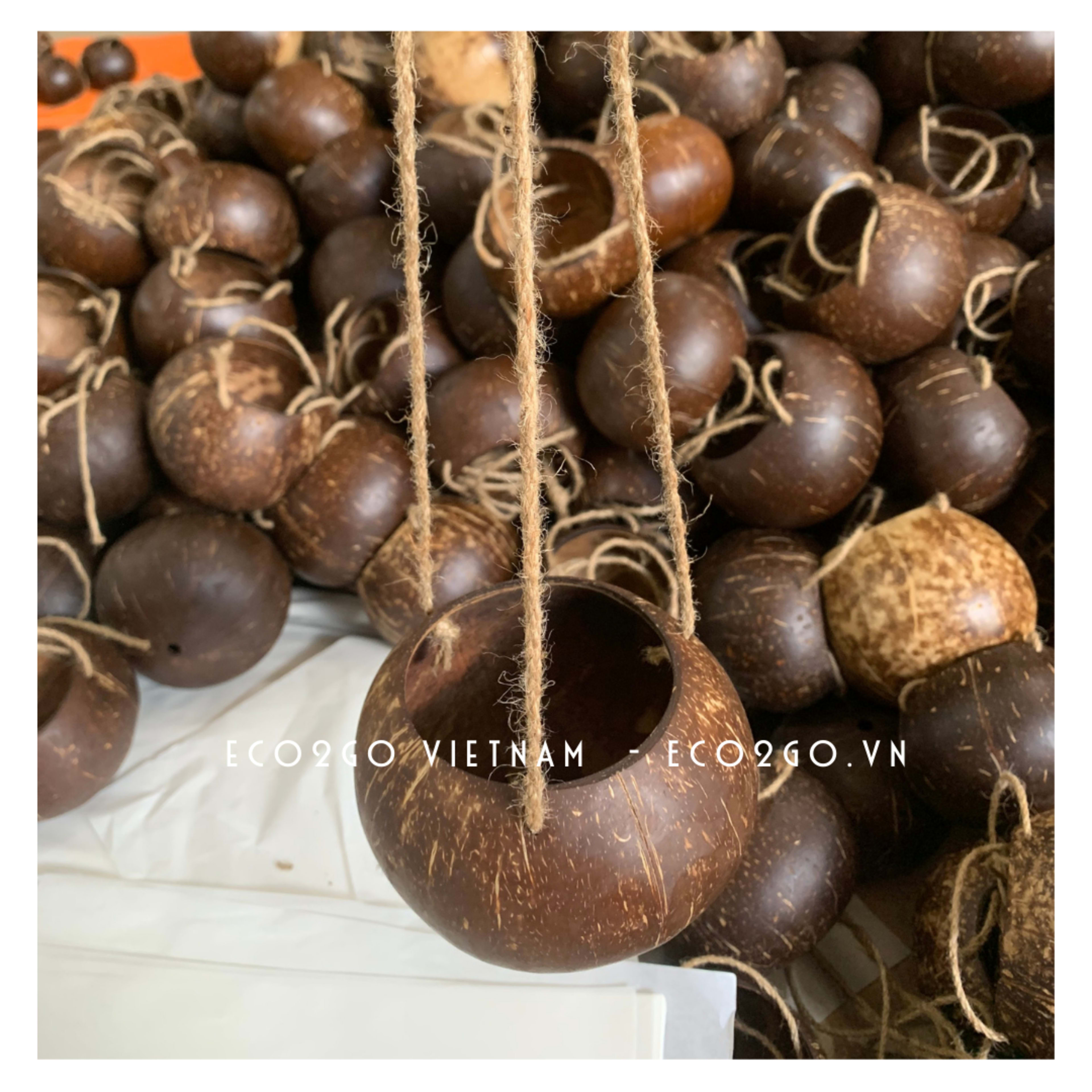 coco plant pot 16