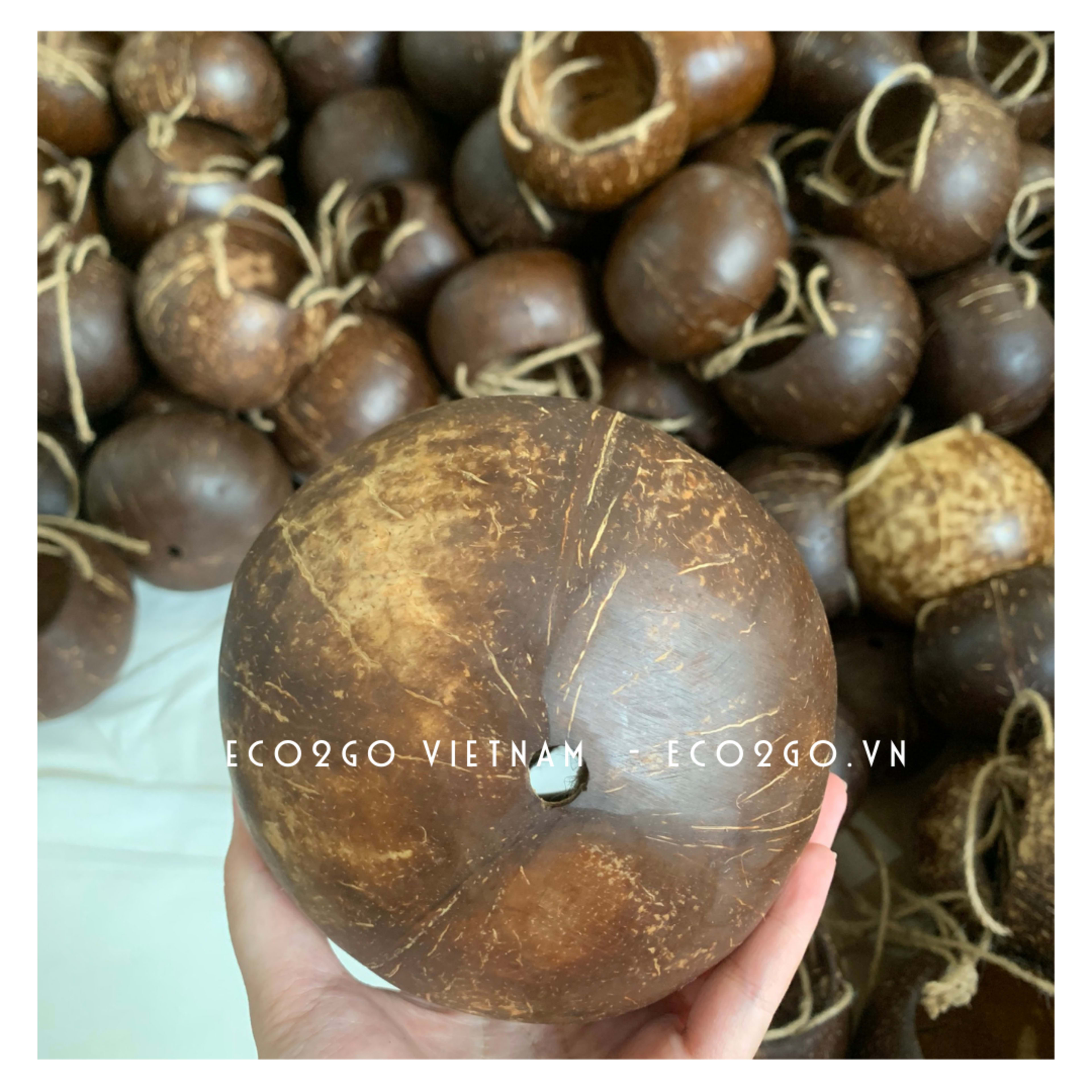 coco plant pot 14