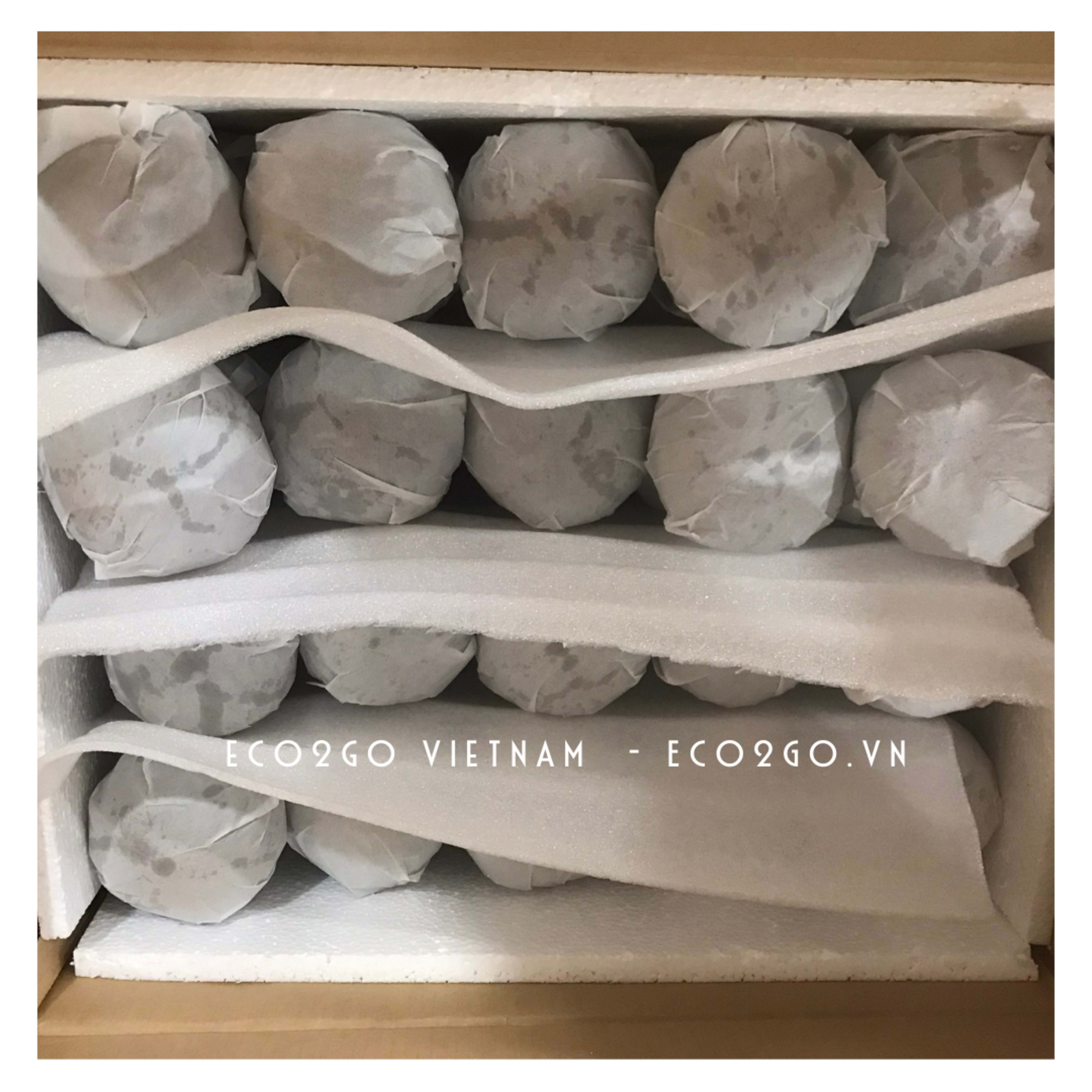 coco plant pot 20