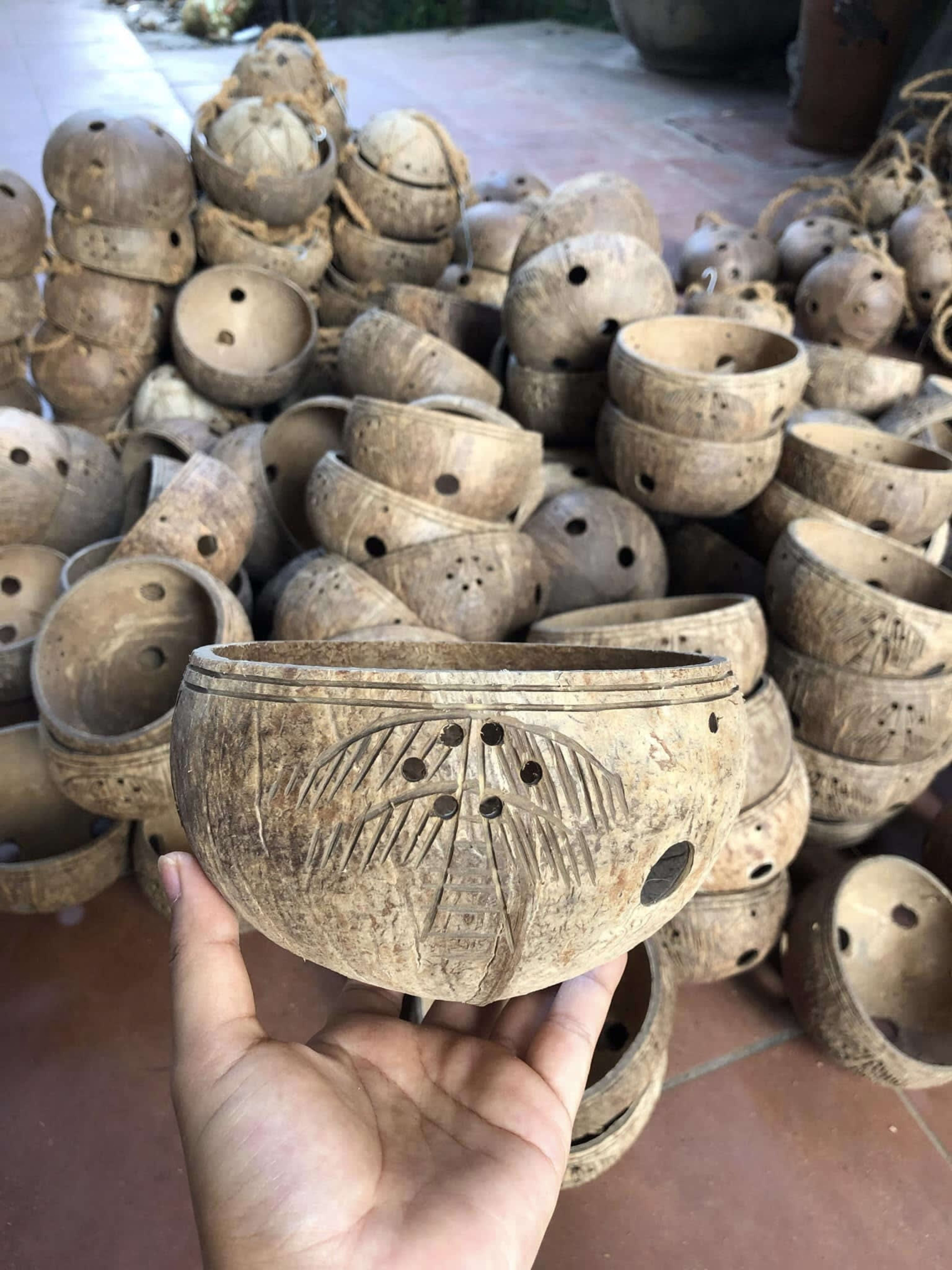 coco plant pot 48