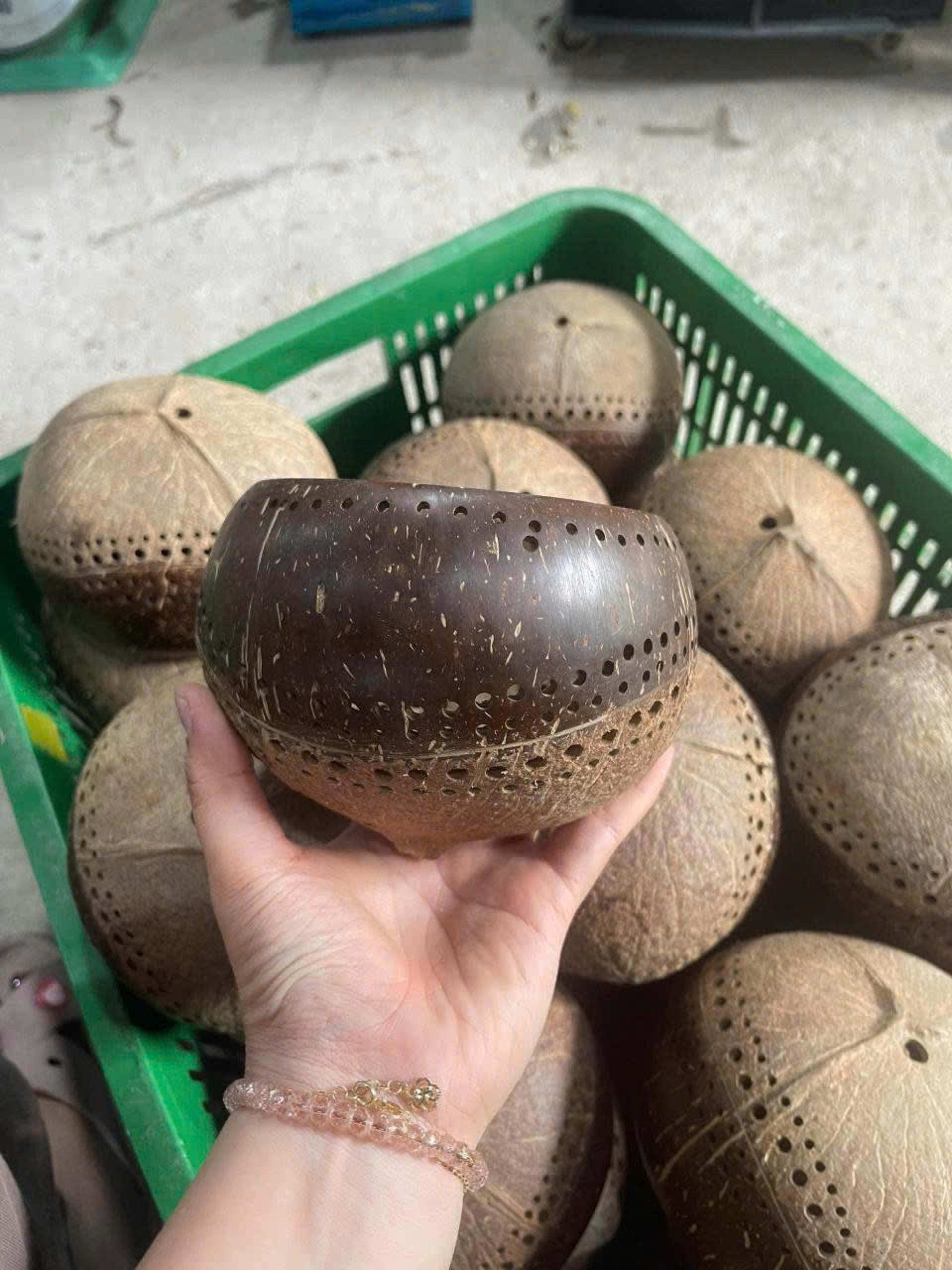 coco plant pot 55