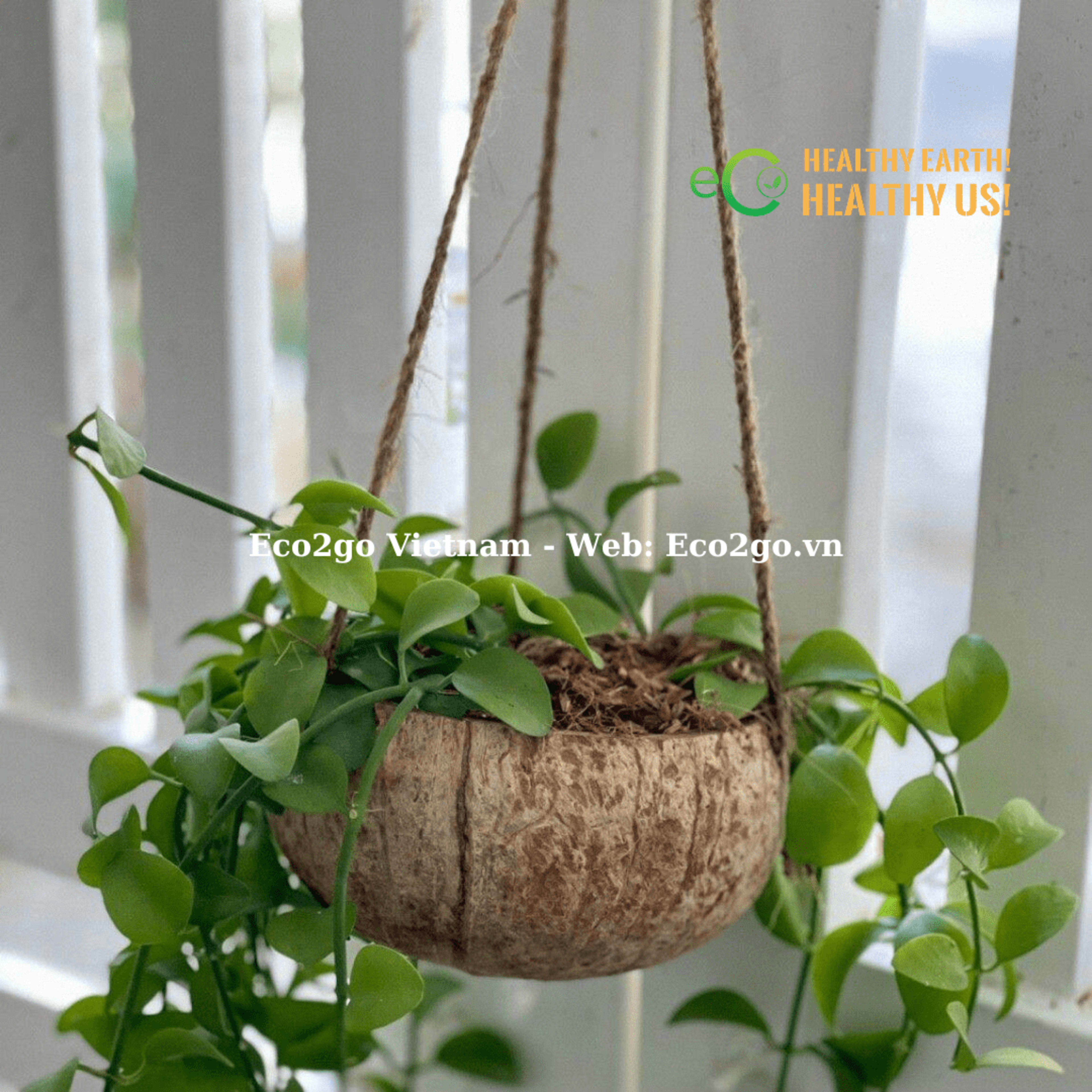 coco plant pot 45