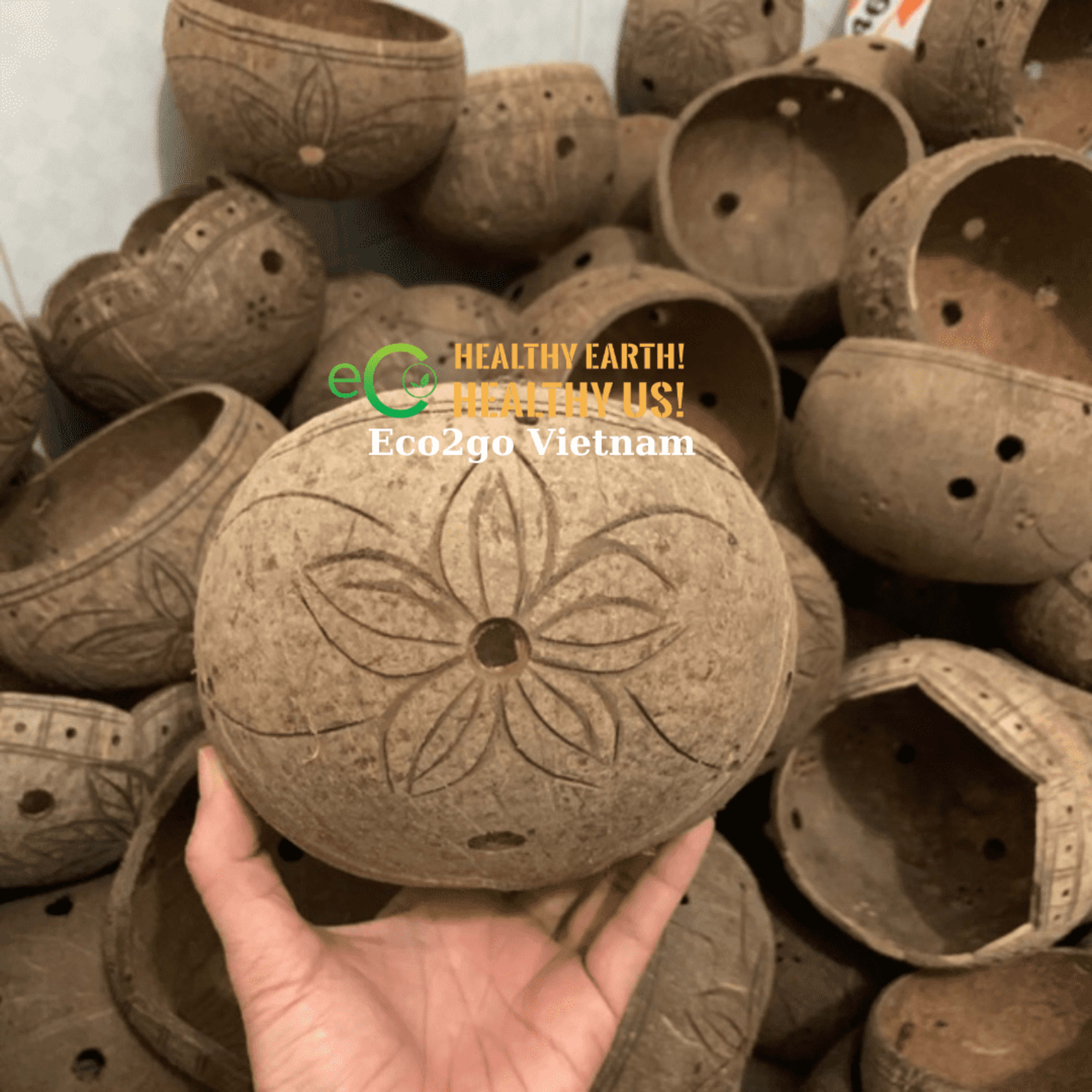 coco plant pot 42