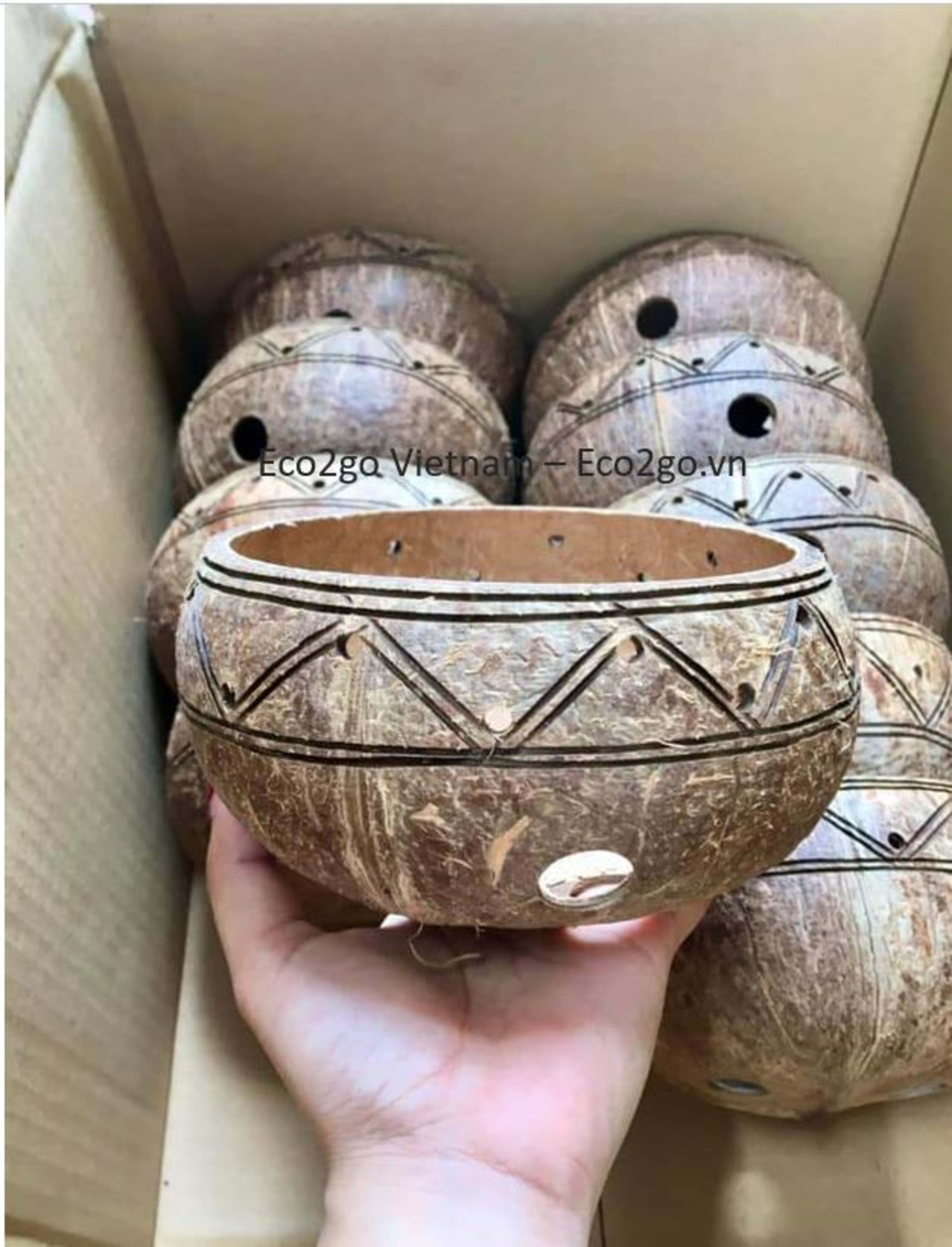 coco plant pot 5