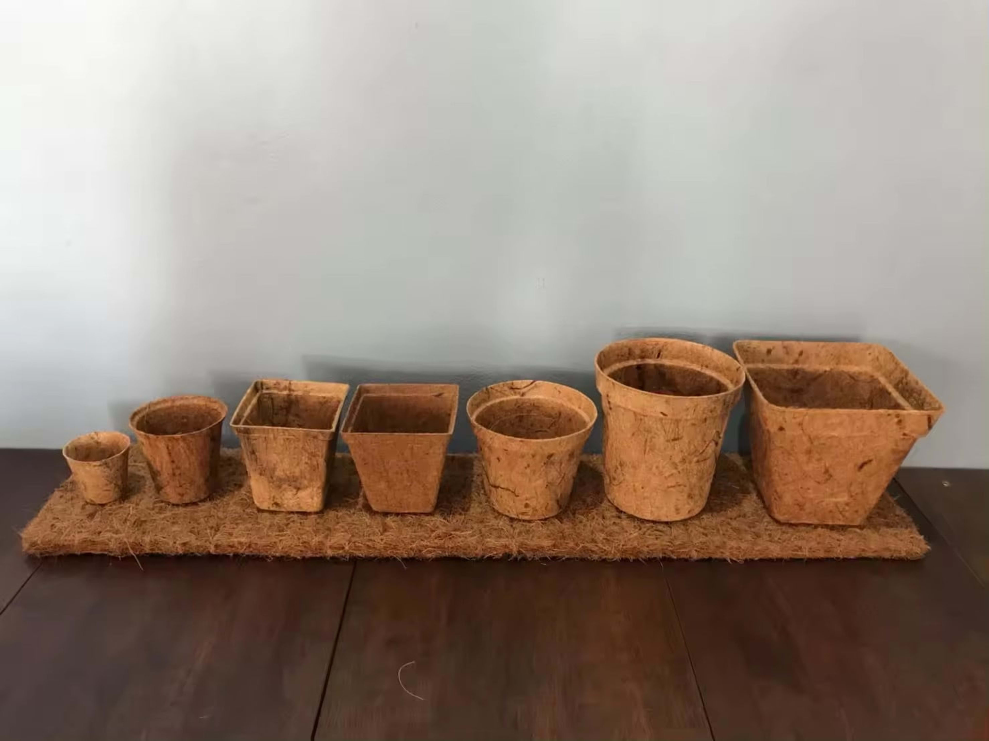 Coir Pots