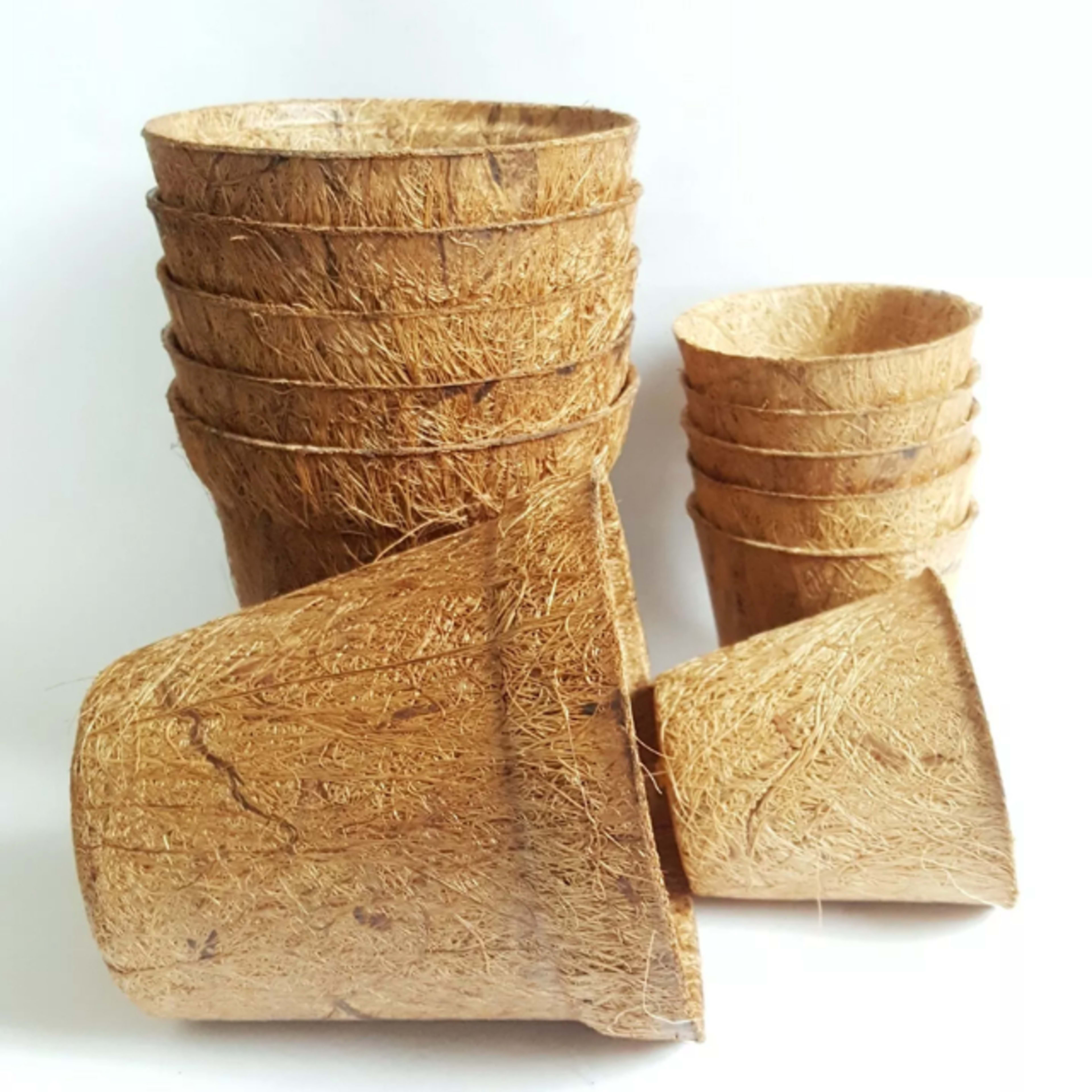 coir pot 11