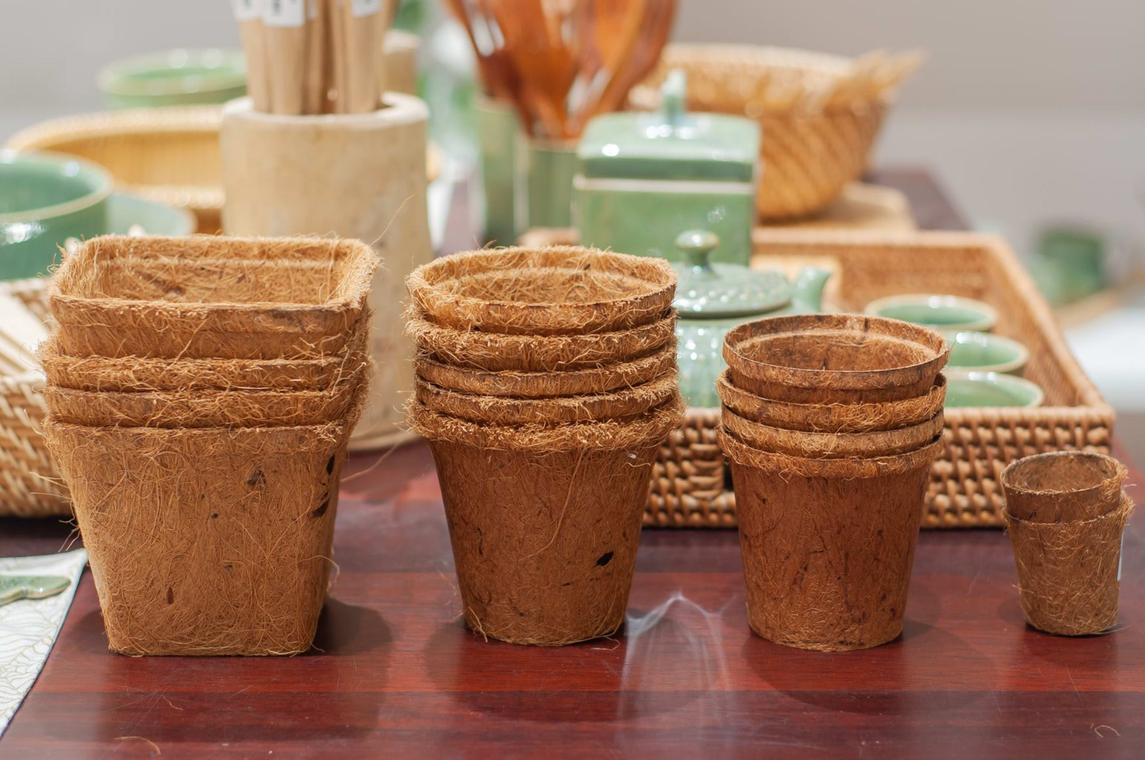 coir pot 14