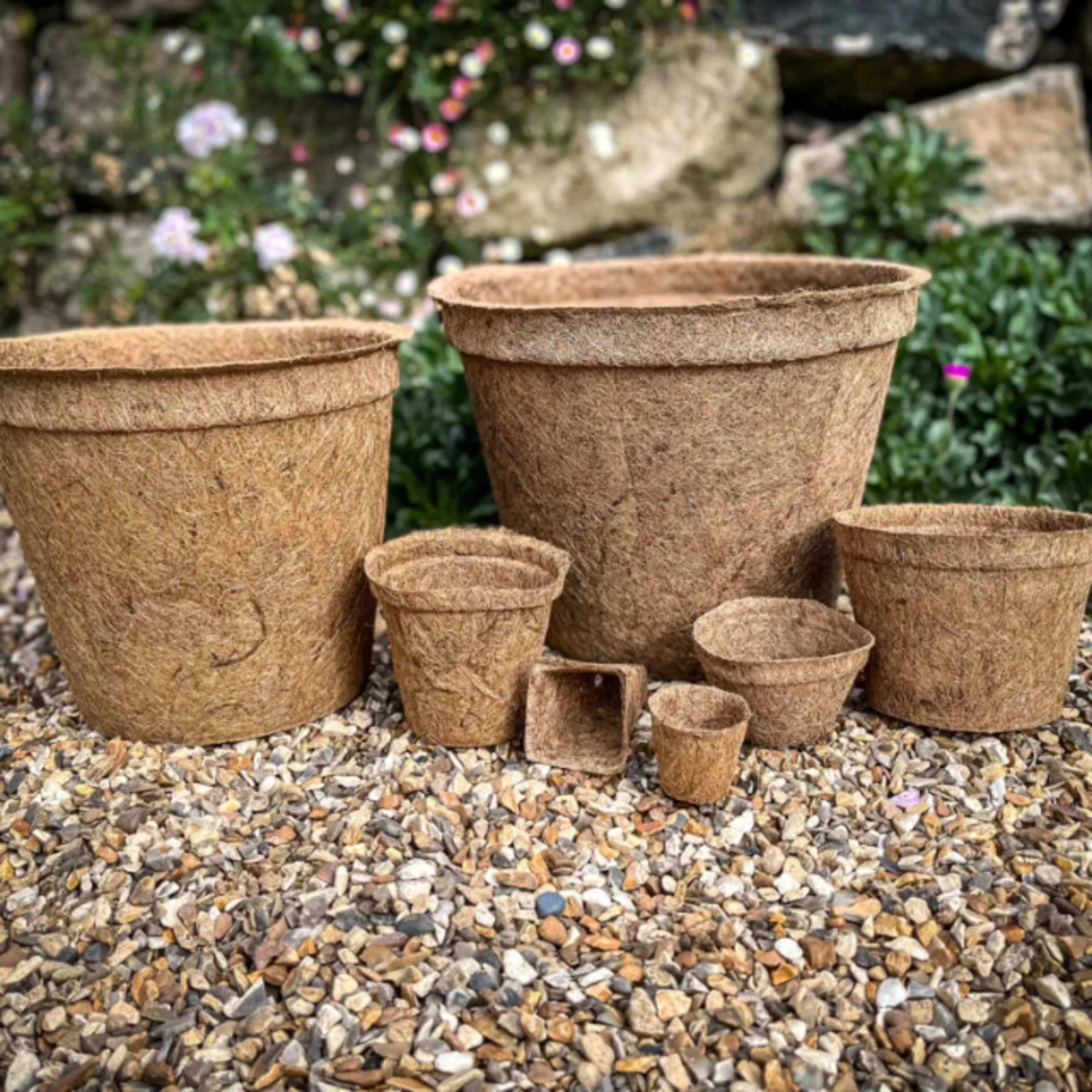 coir pot 21