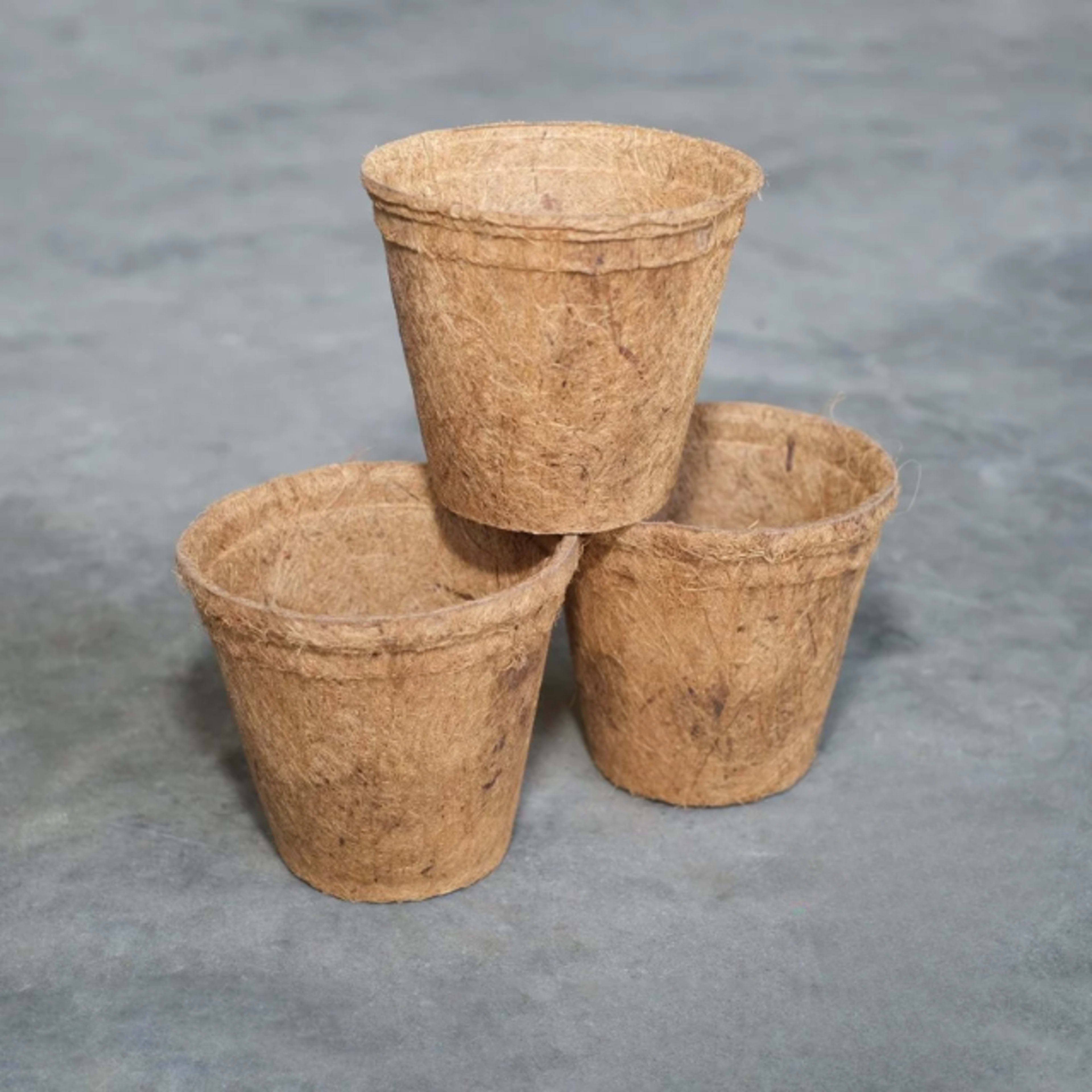 coir pot 27